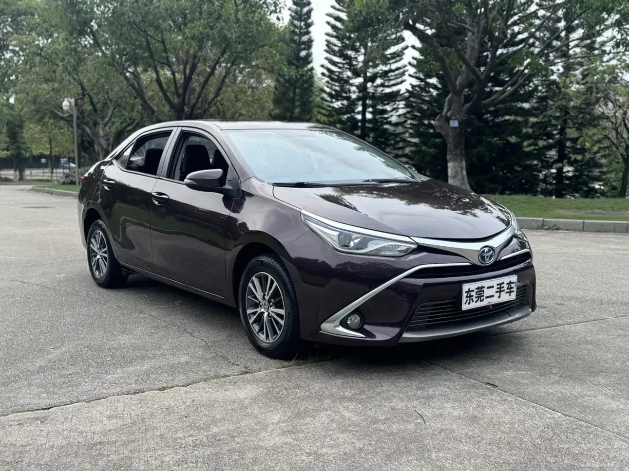 Toyota Levin