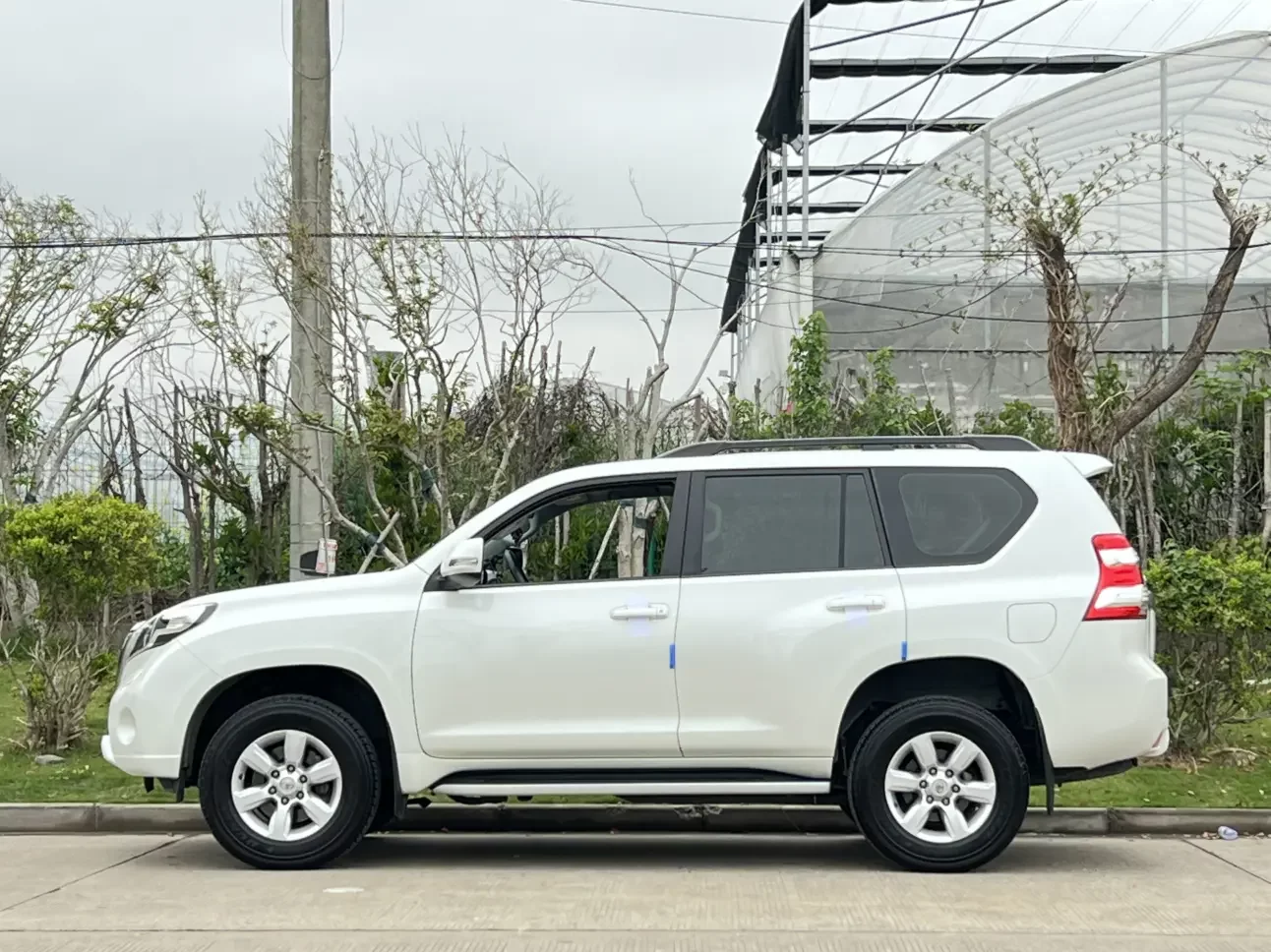 Toyota prado