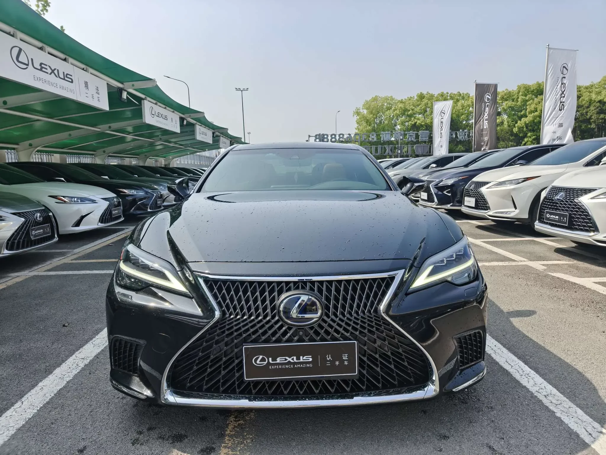Lexus LS