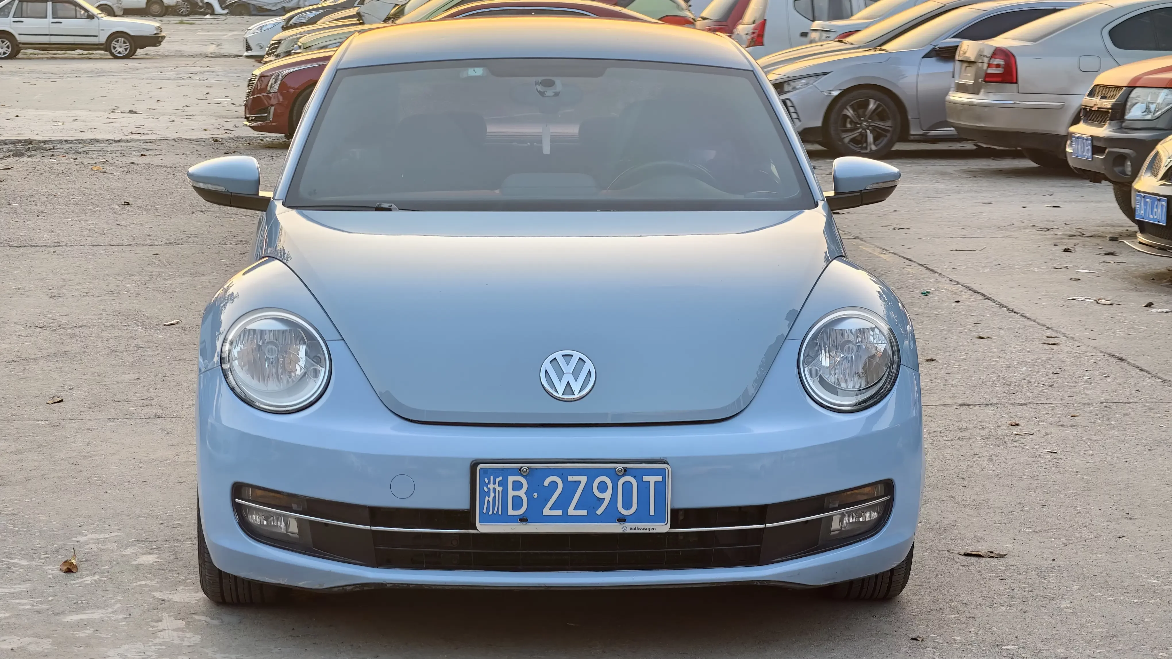 Volkswagen Beetle