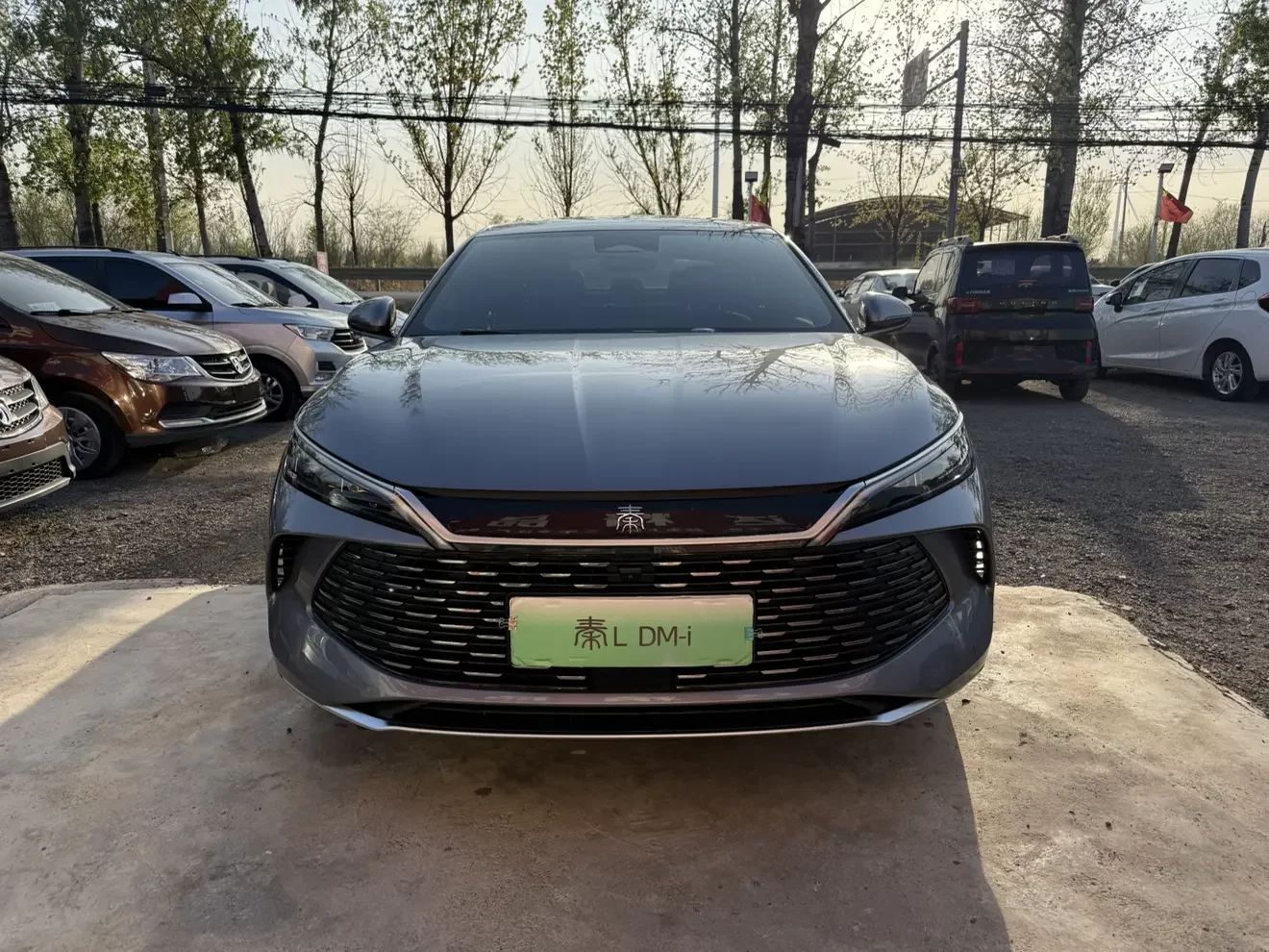 BYD Qin L DM