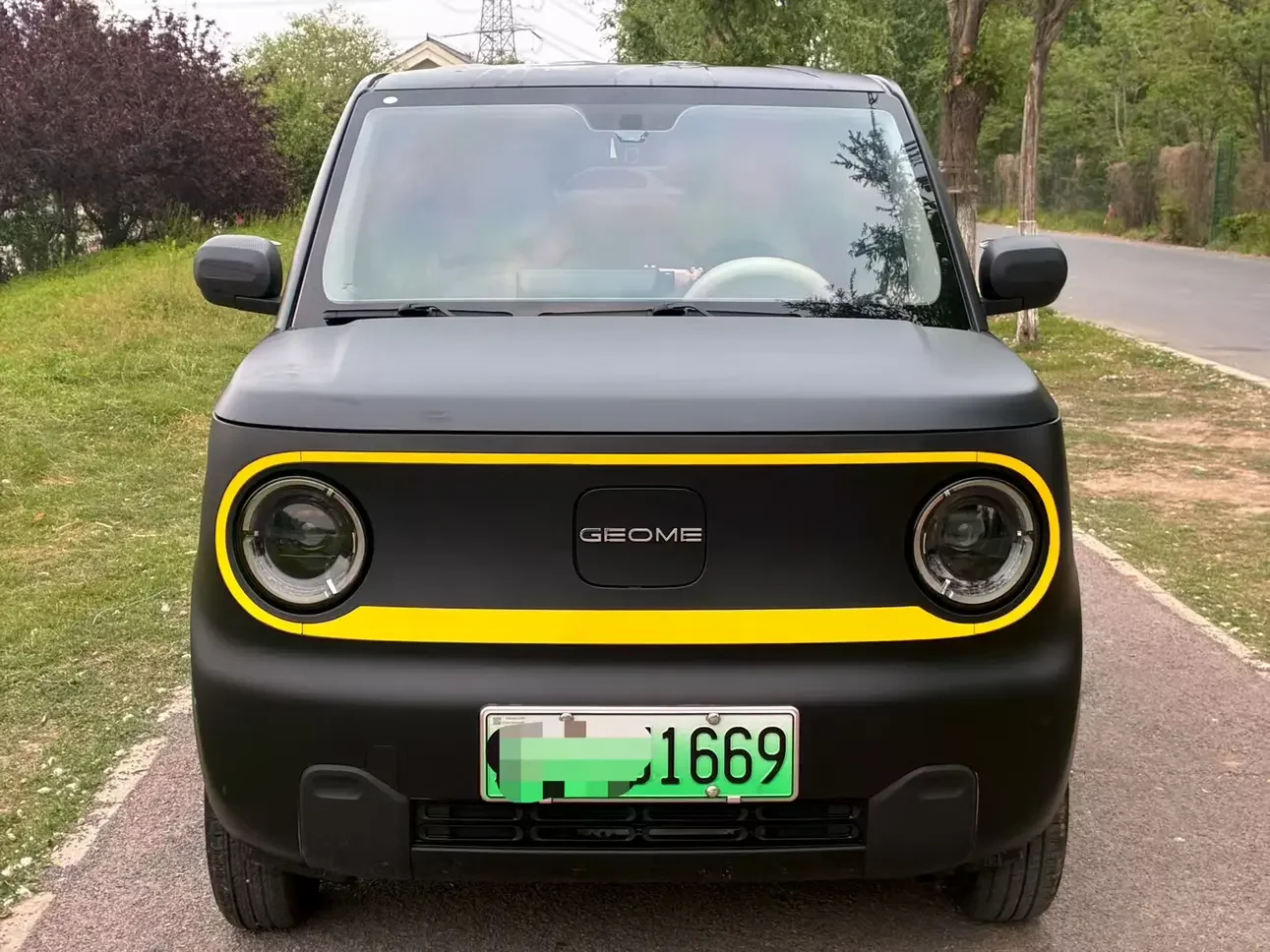 Geely panda
