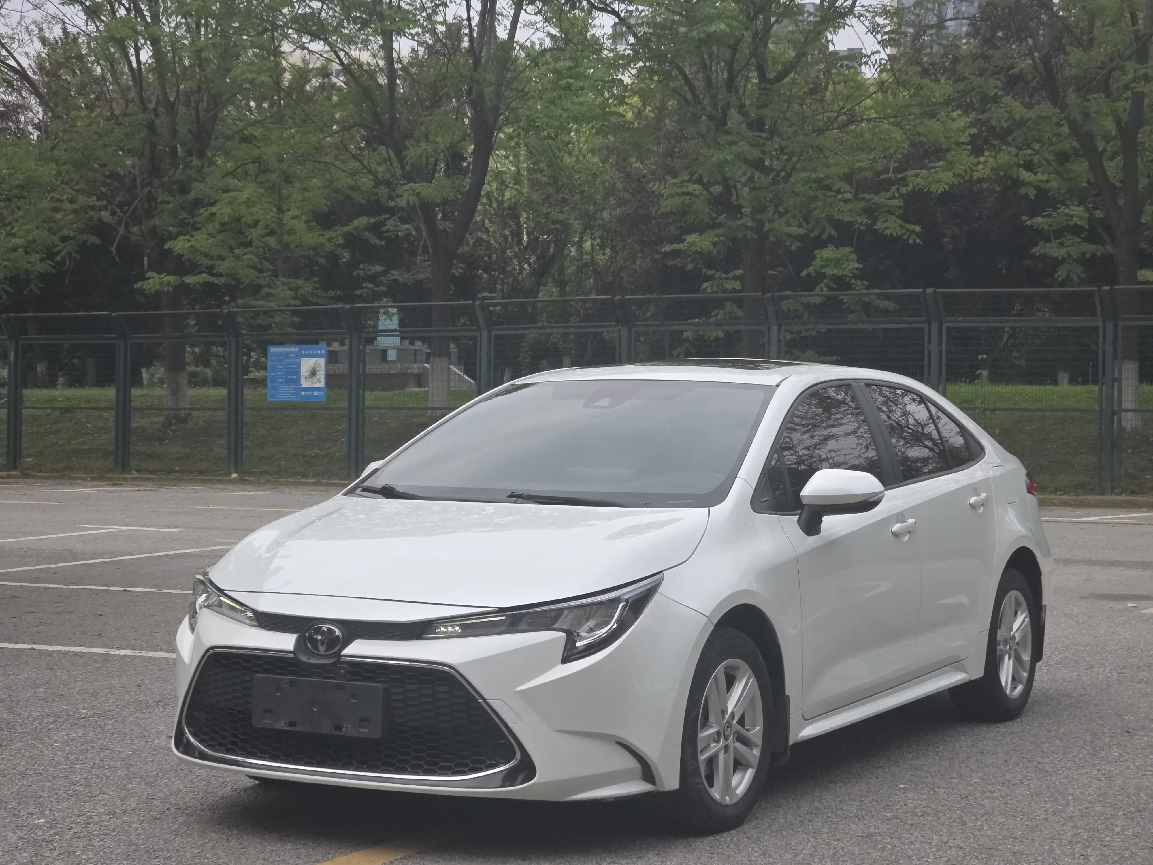 Toyota Levin