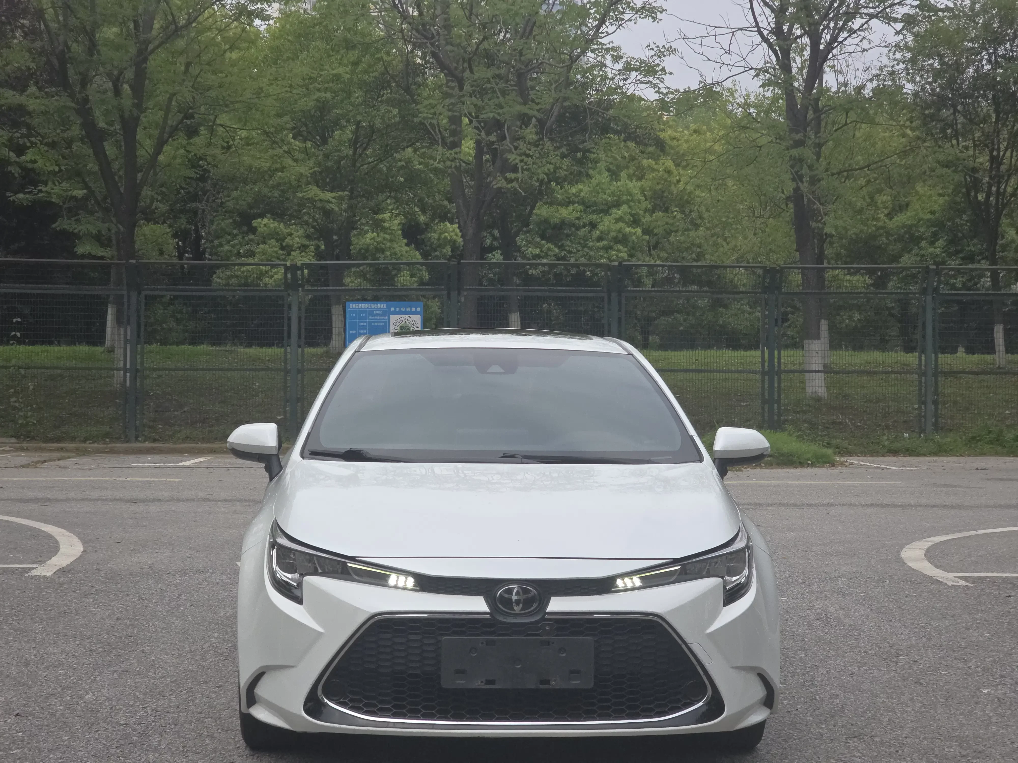 Toyota Levin