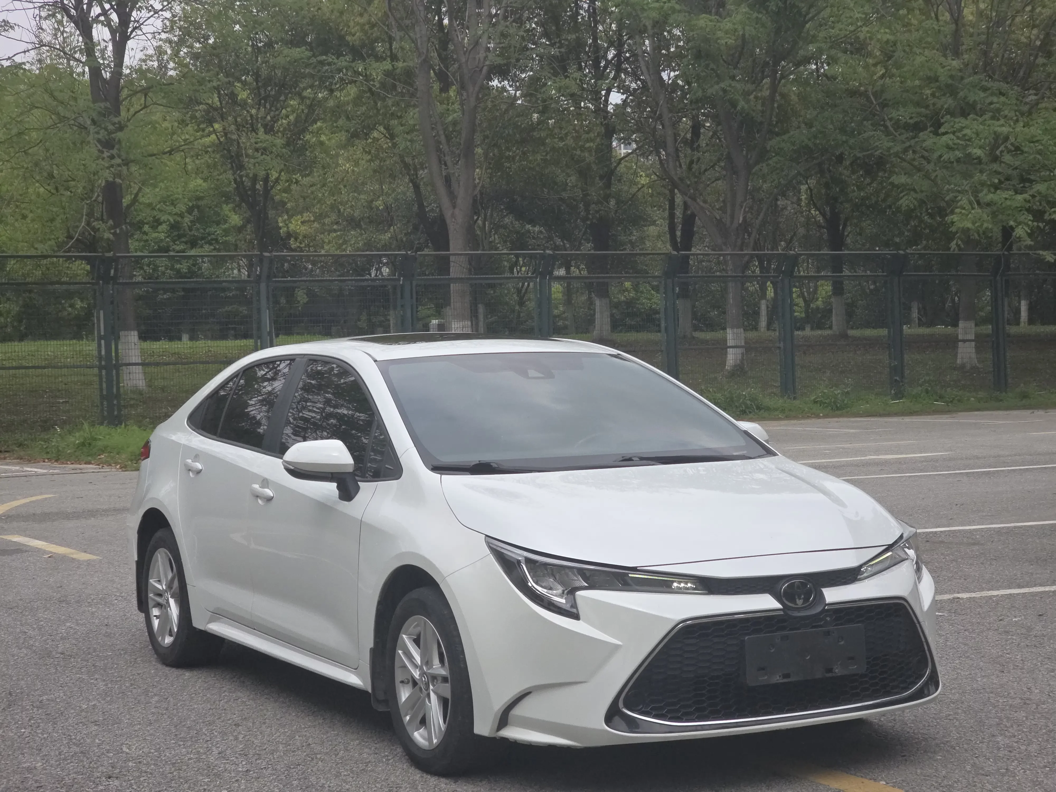 Toyota Levin