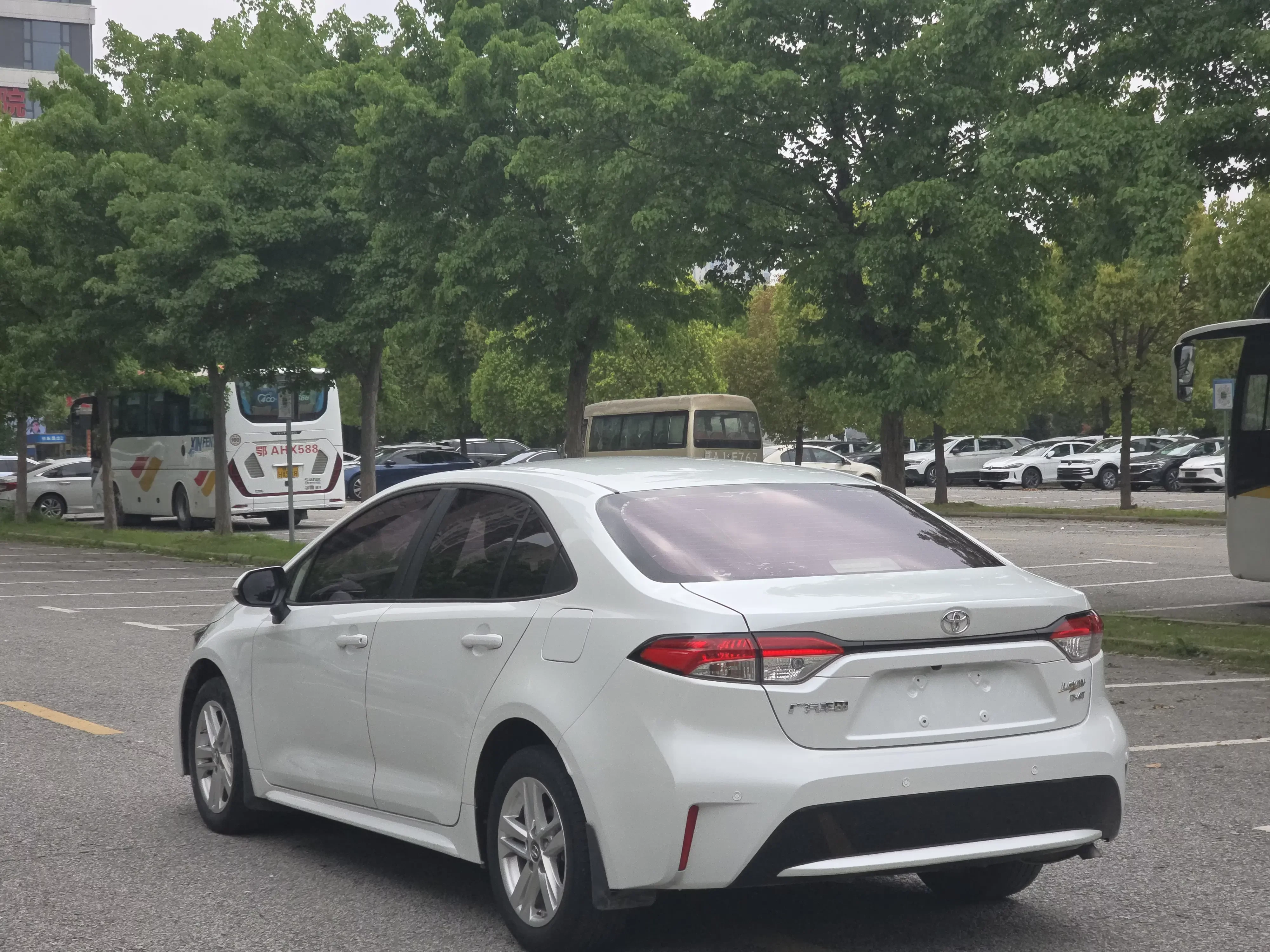 Toyota Levin