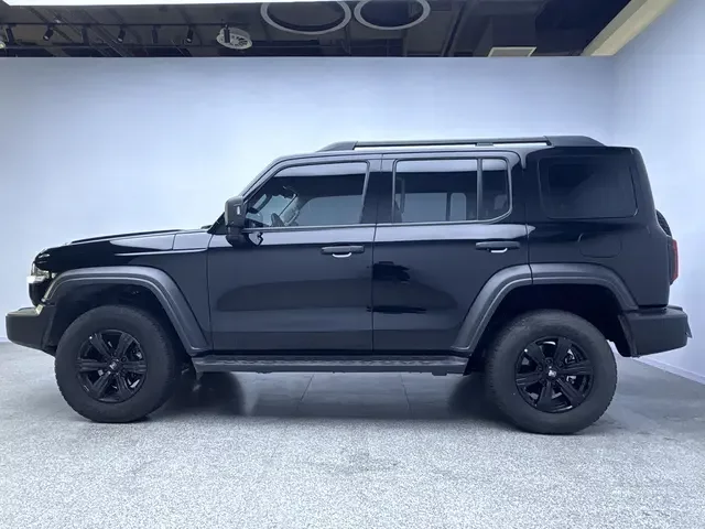 Tank 300