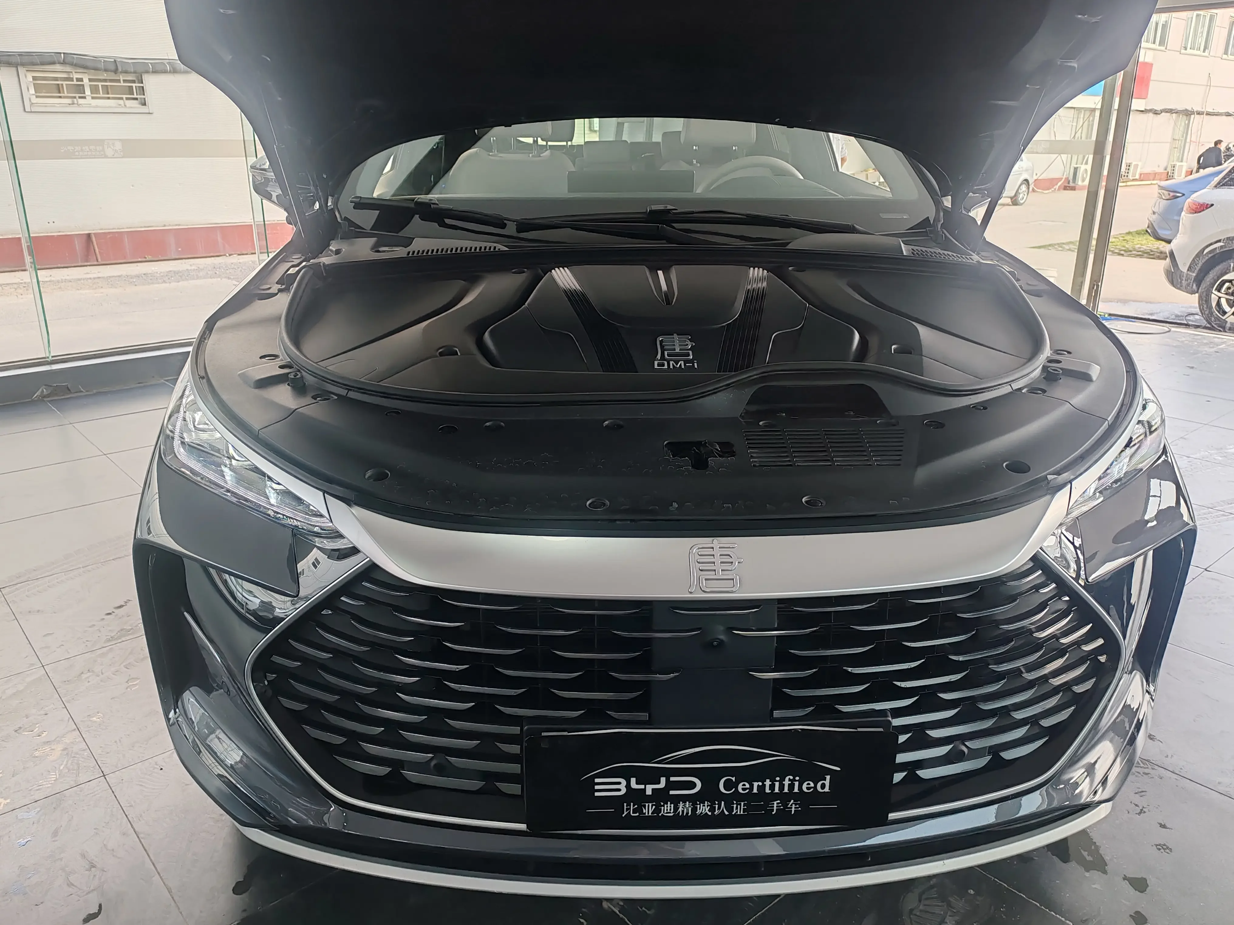 BYD Tang DM