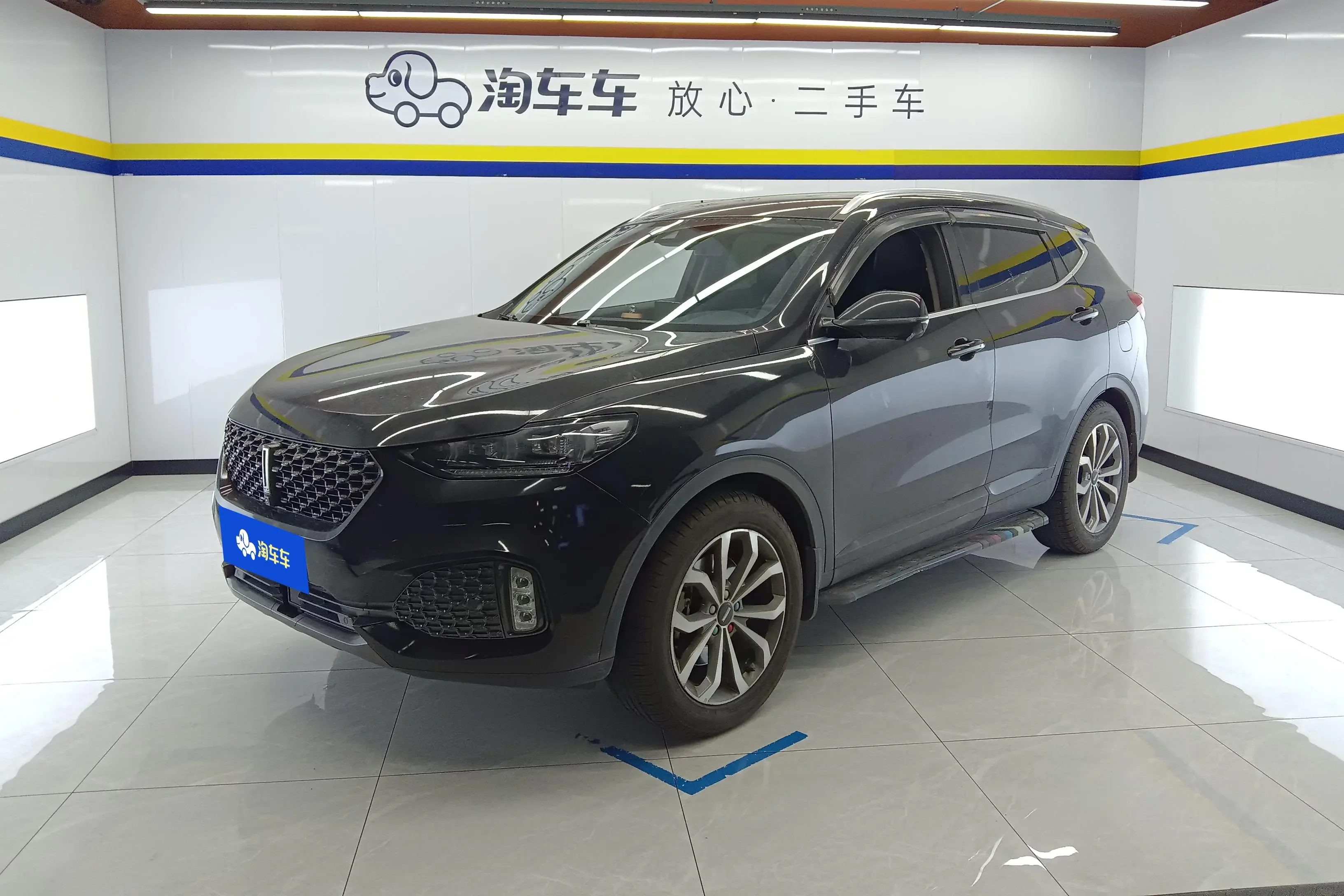 Wey Wei brand VV6