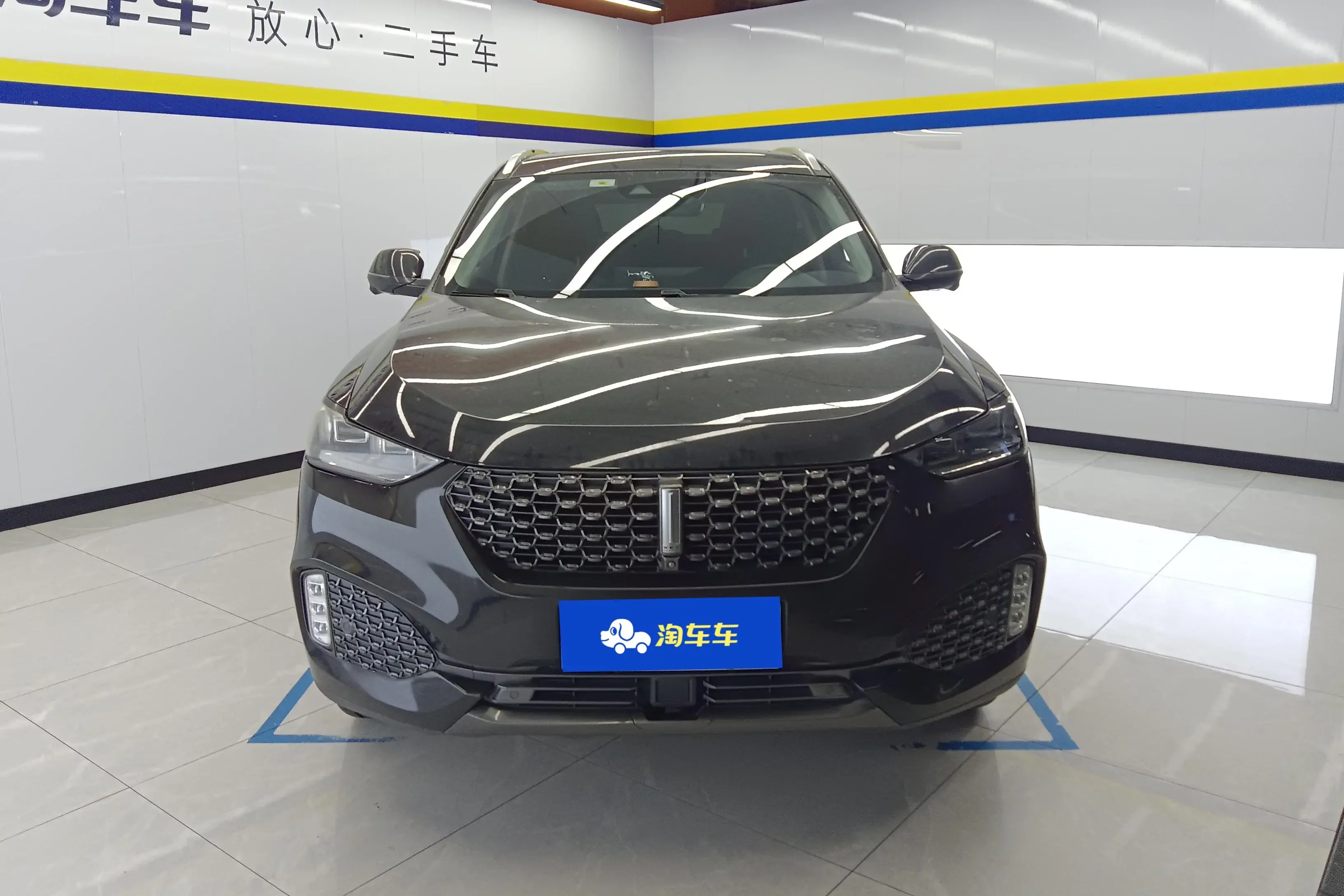 Wey Wei brand VV6