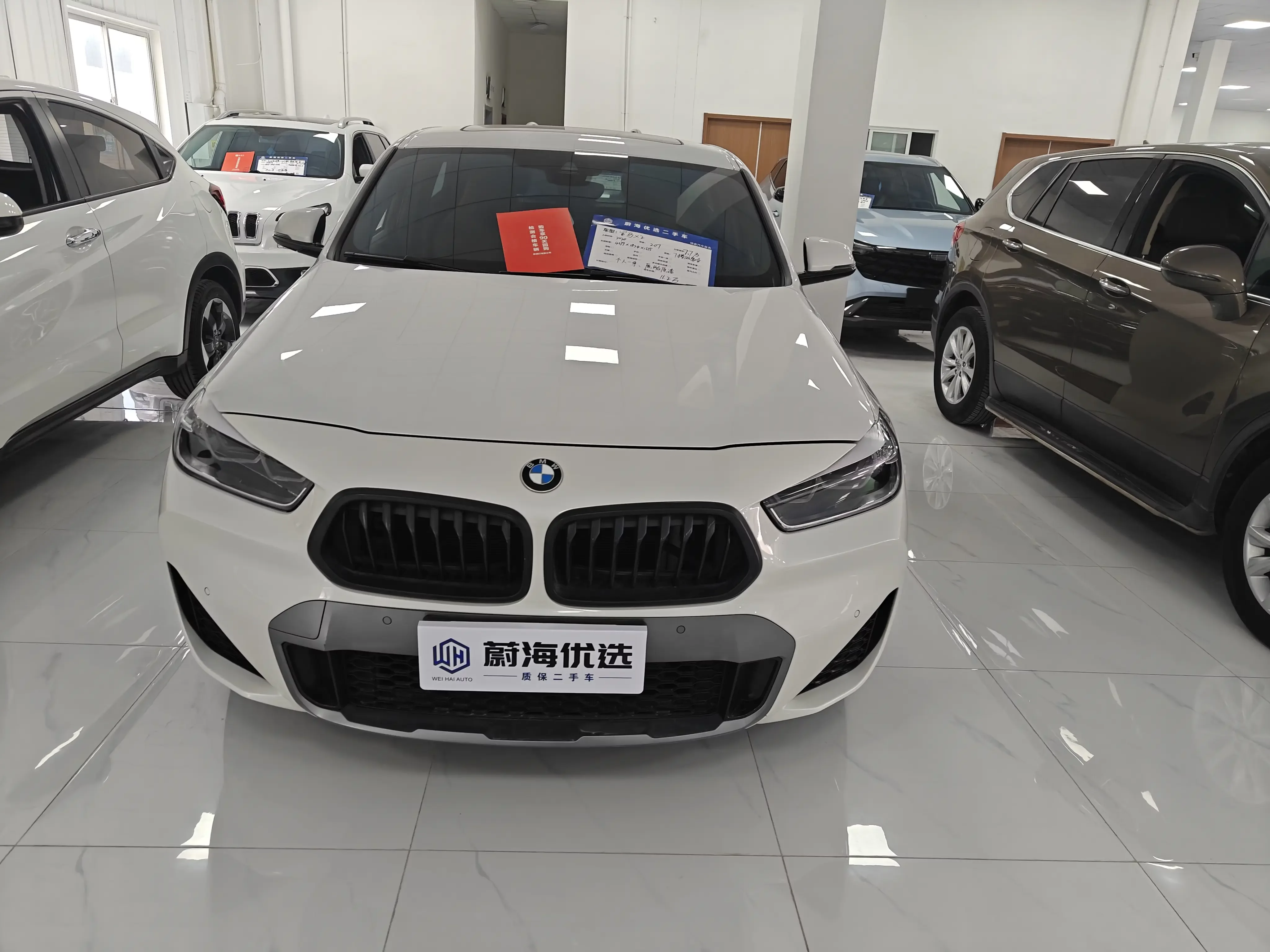 BMW X2