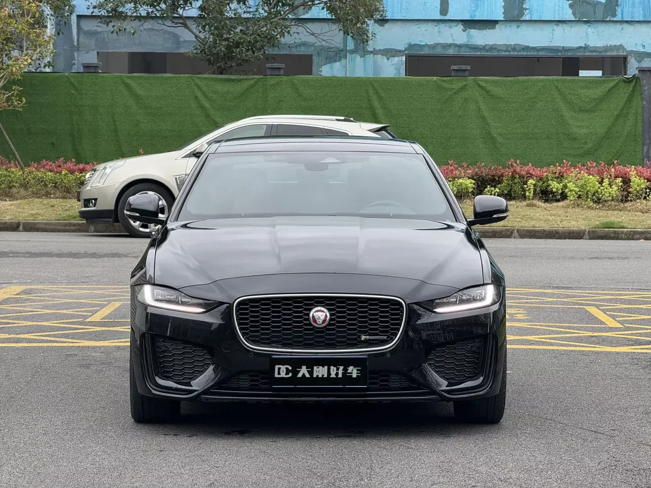 Jaguar XEL
