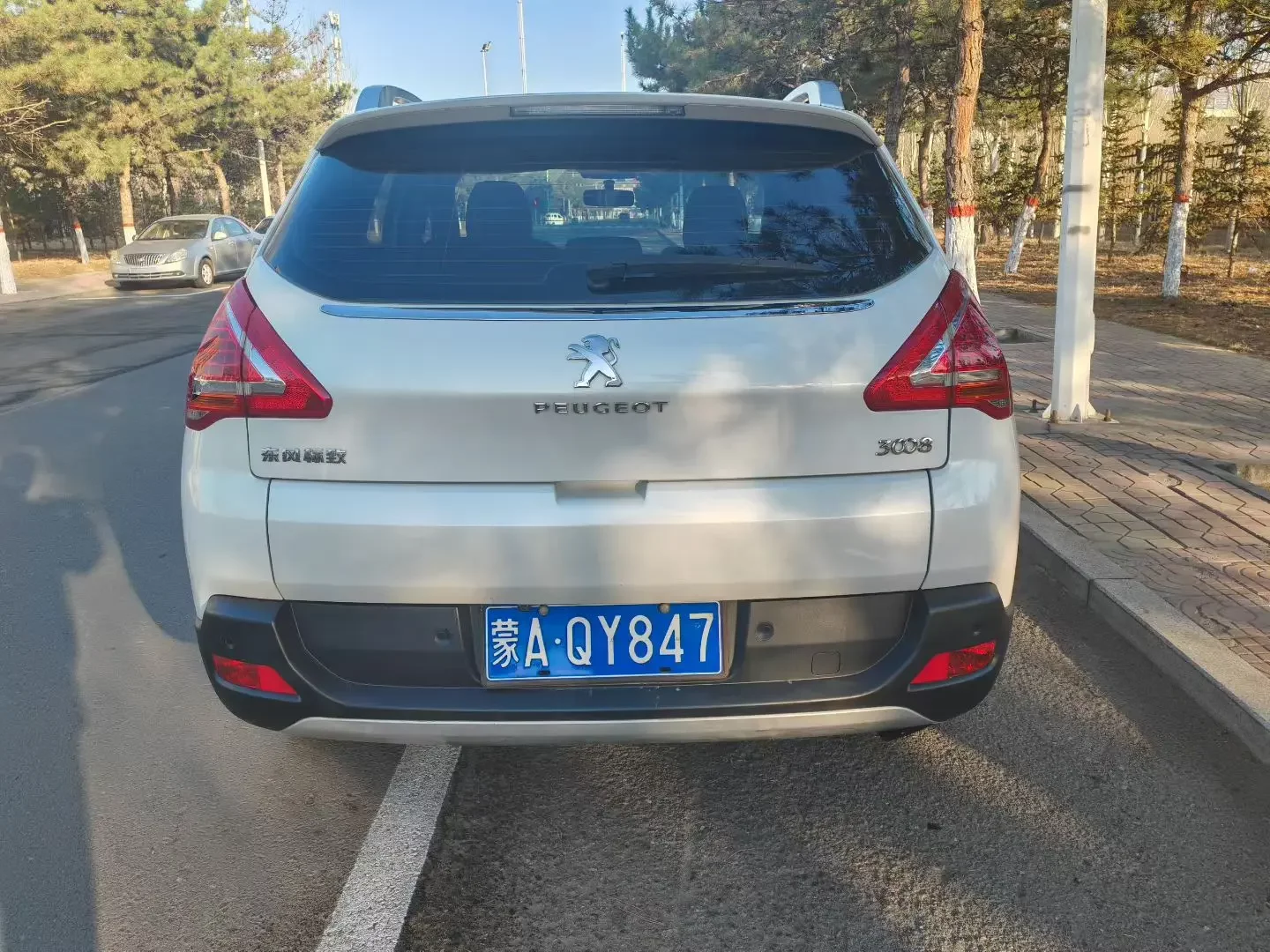 Peugeot 3008