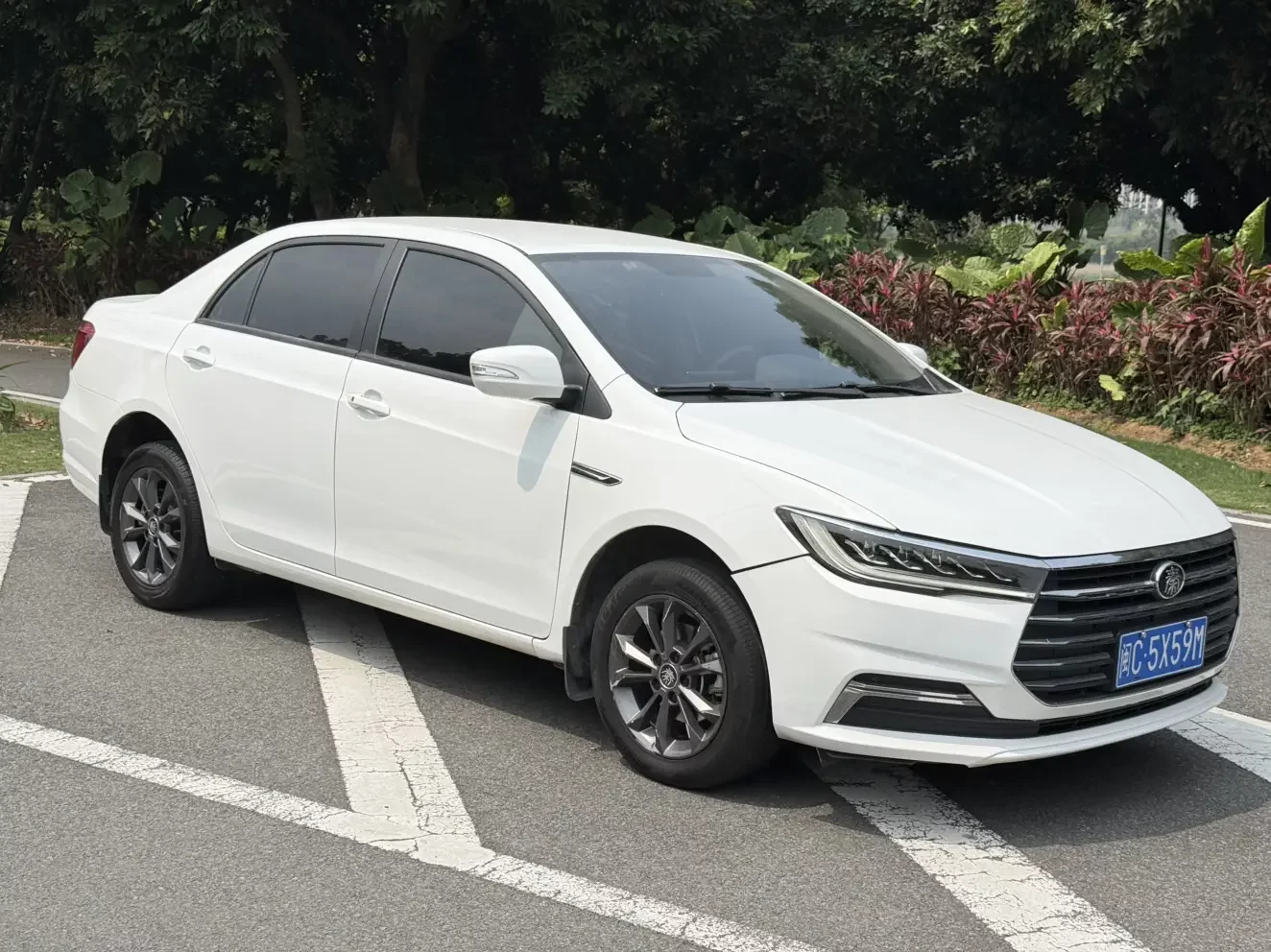BYD Qin