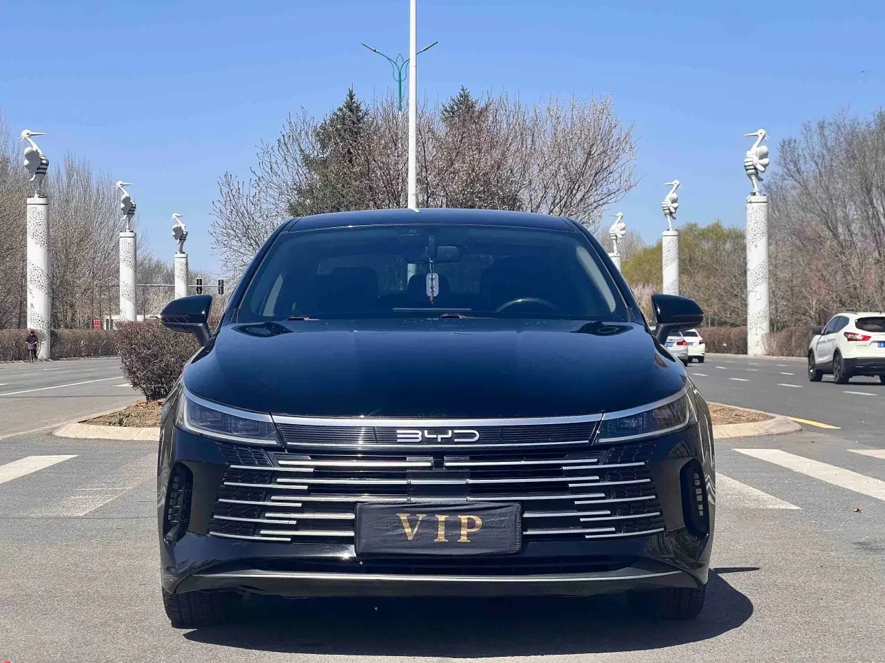 BYD Destroyer 05
