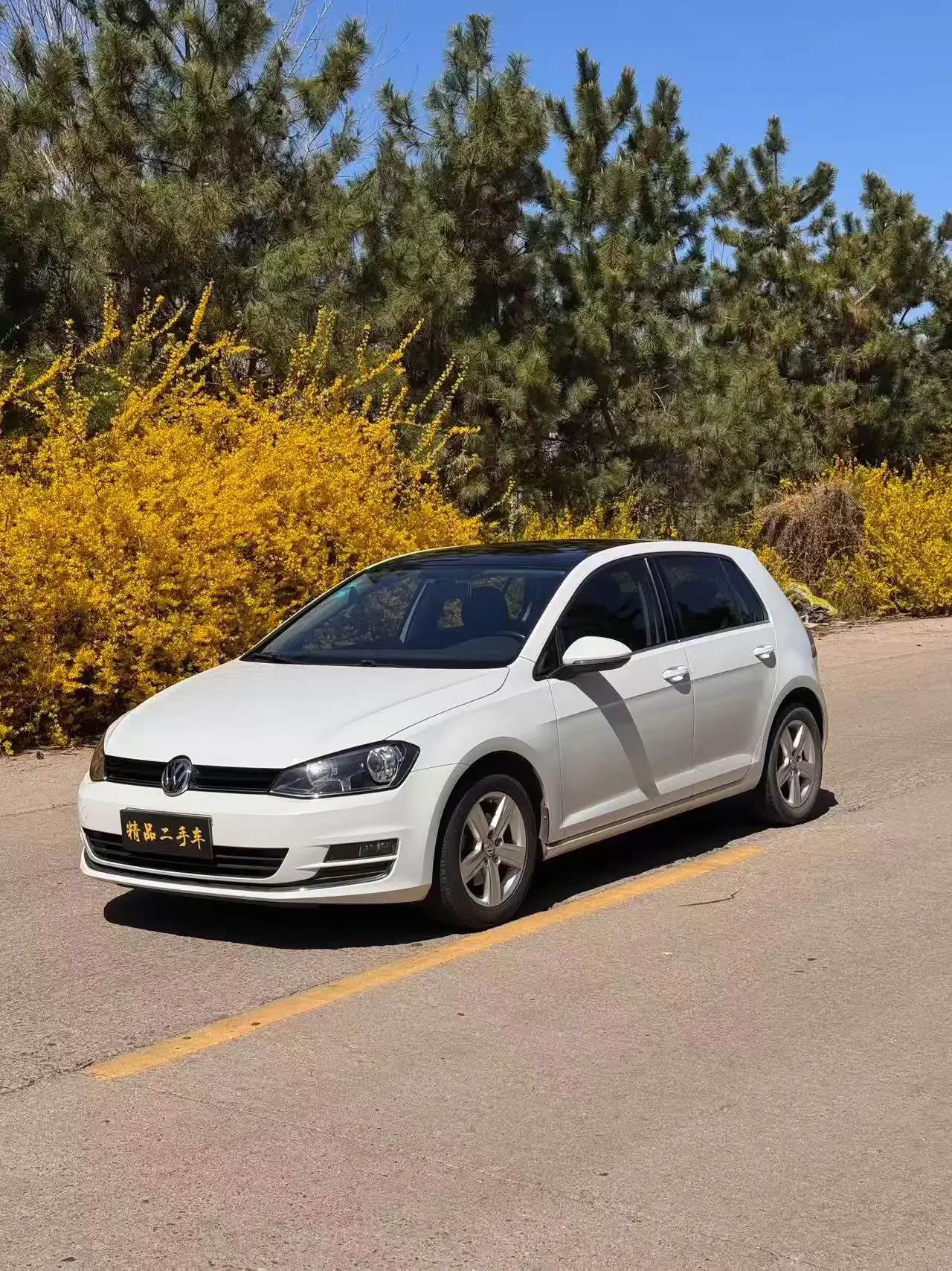 Volkswagen golf