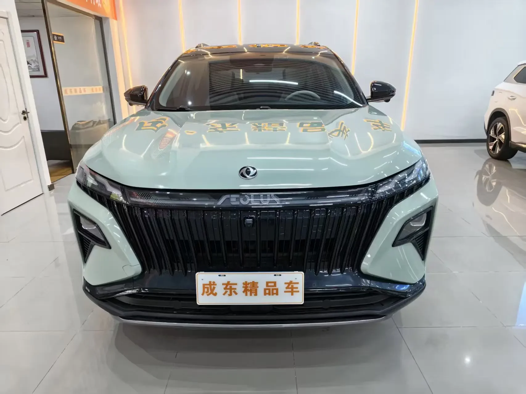 Dongfeng Haoji