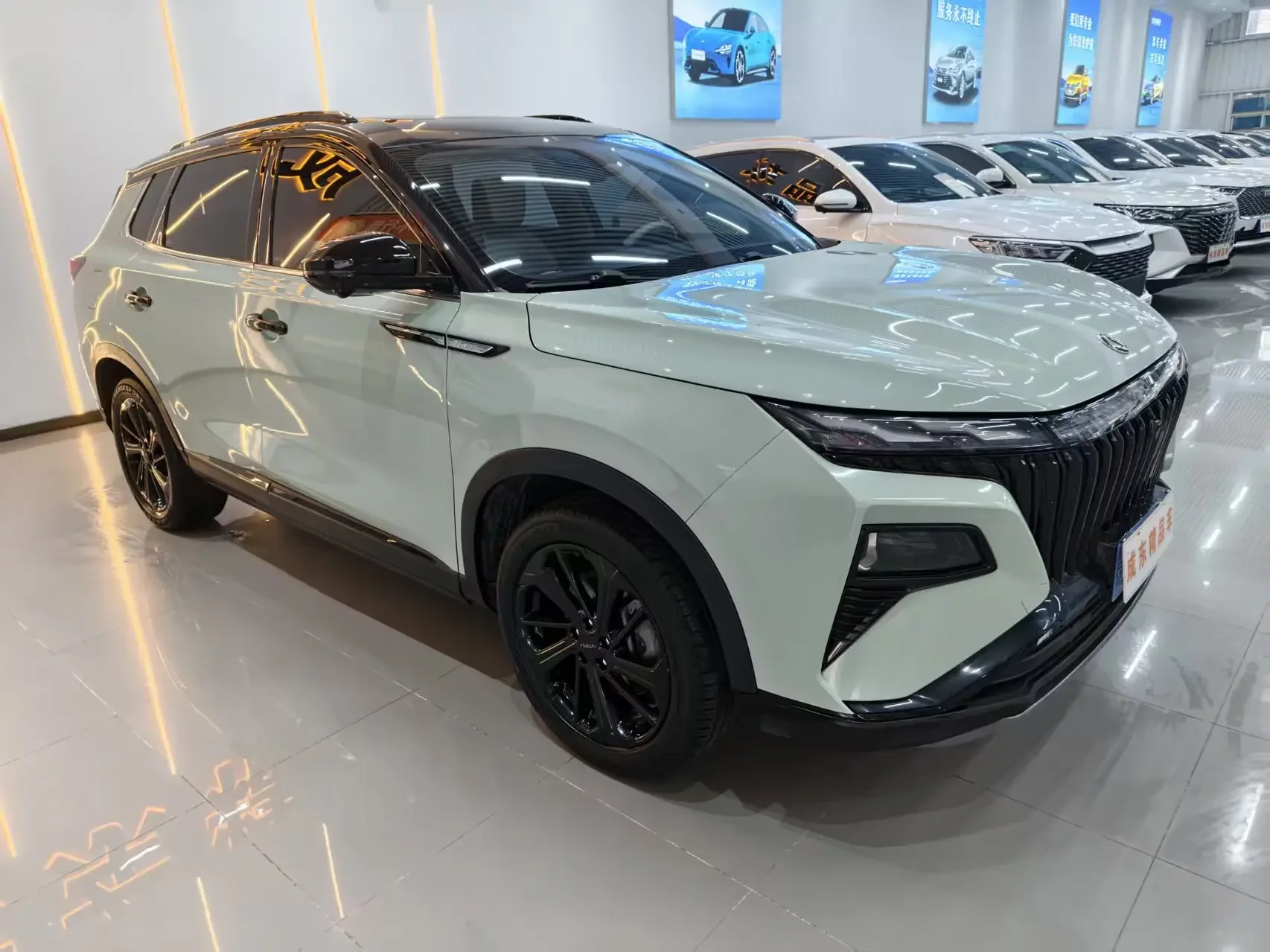 Dongfeng Haoji