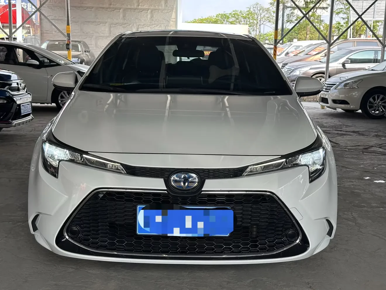 Toyota Levin