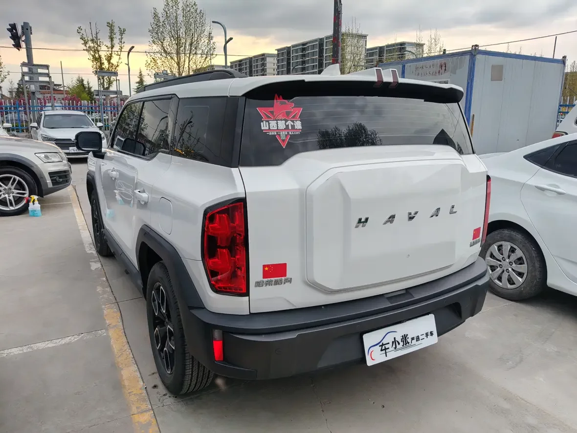 Haval cool dog