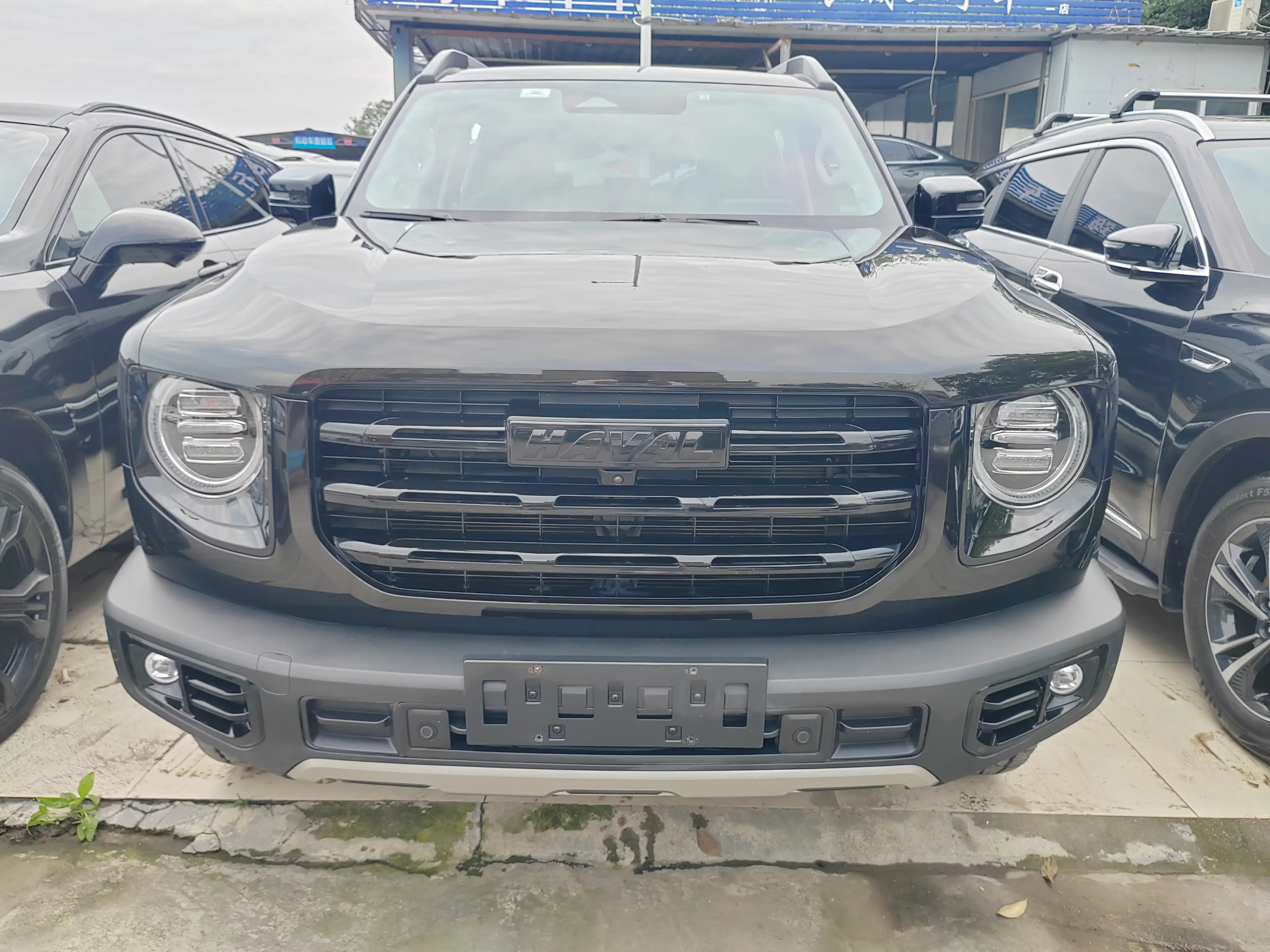 Haval Dargo