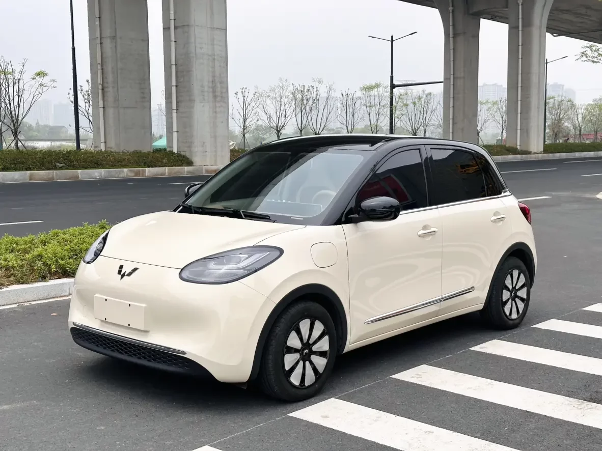 Wuling Bingo