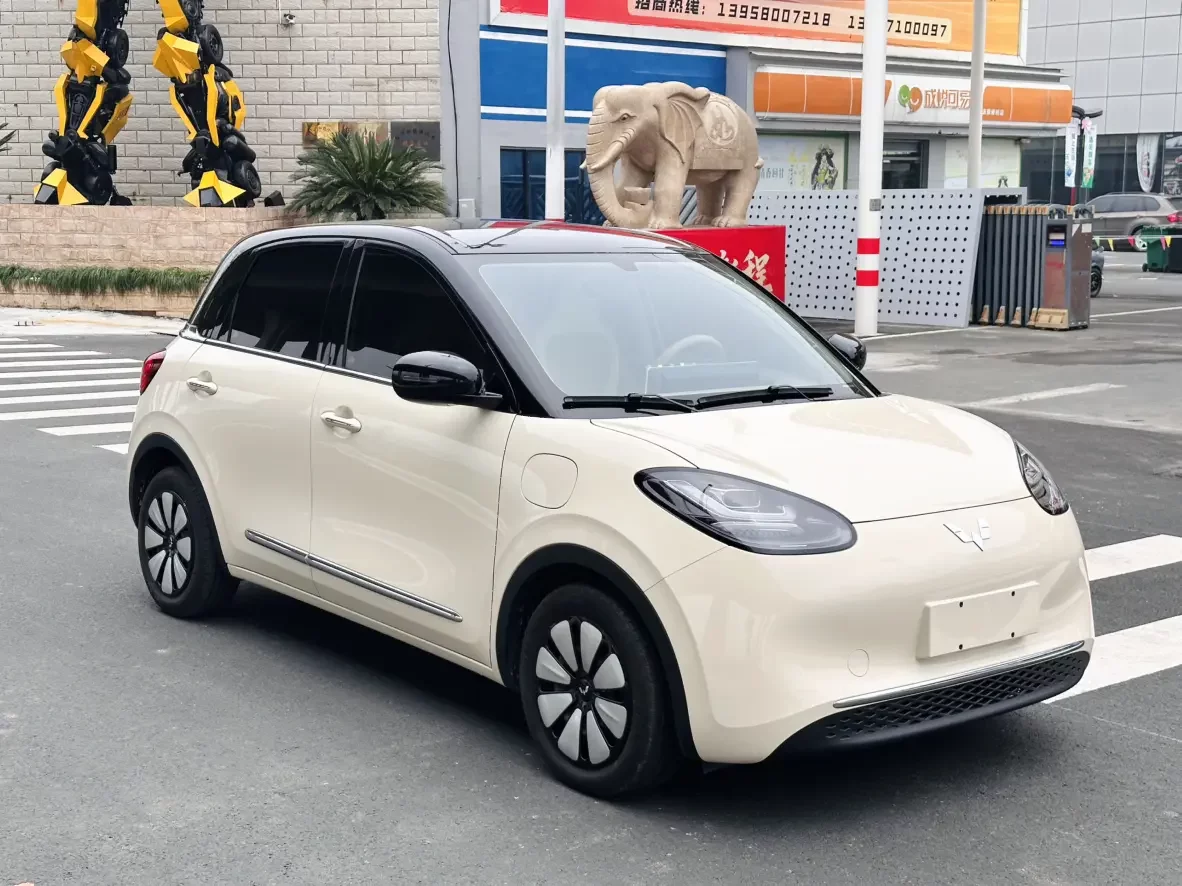 Wuling Bingo