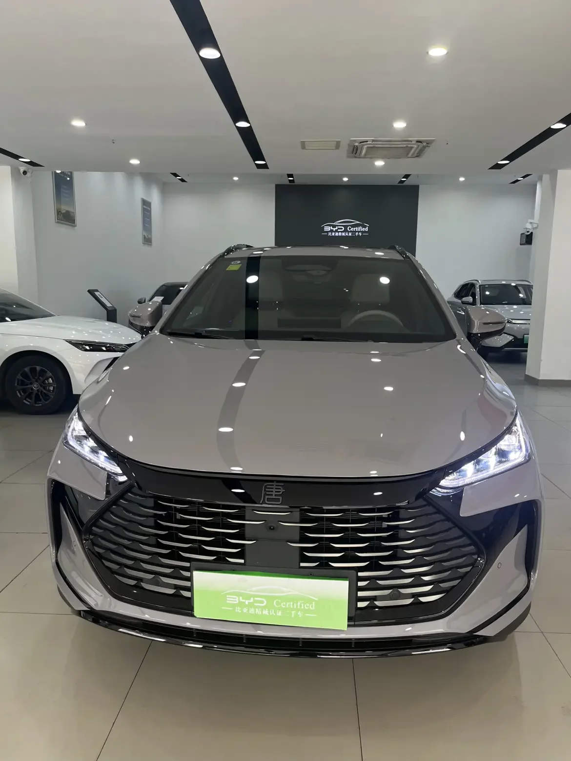BYD Tang DM