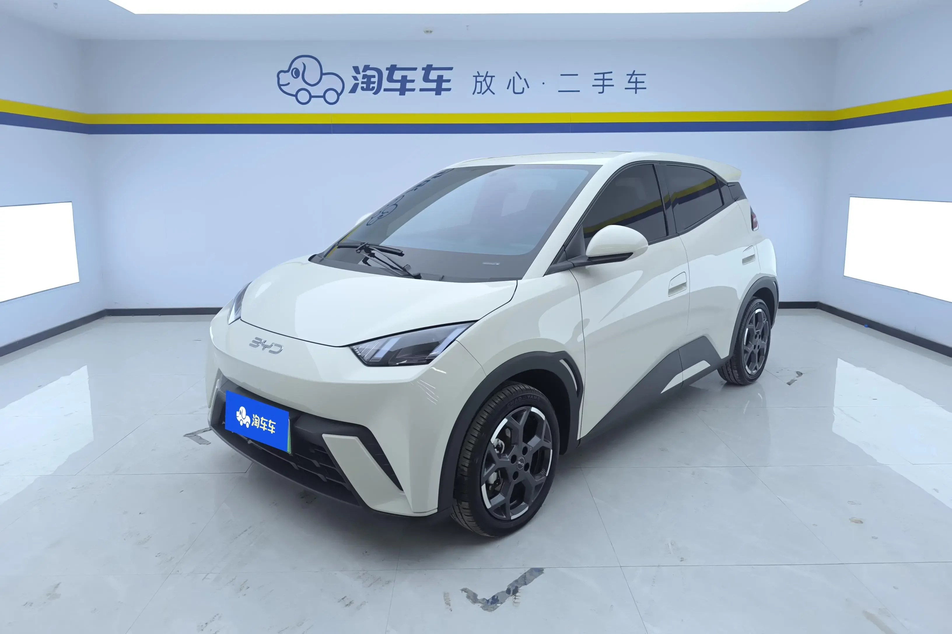 BYD seagull