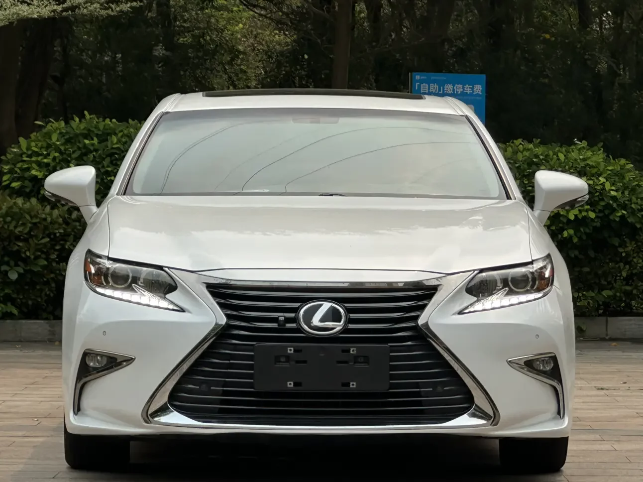 Lexus ES