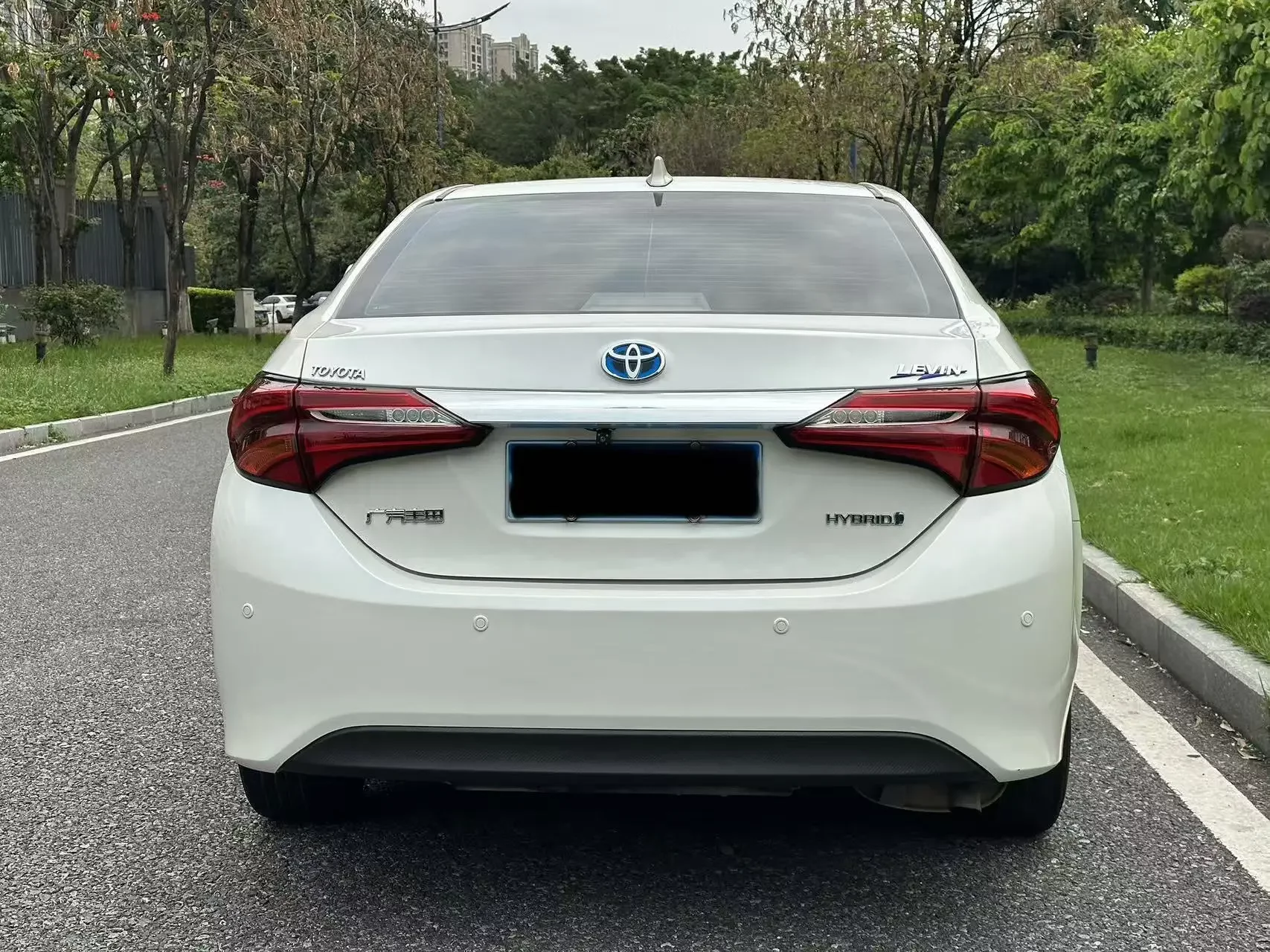 Toyota Levin