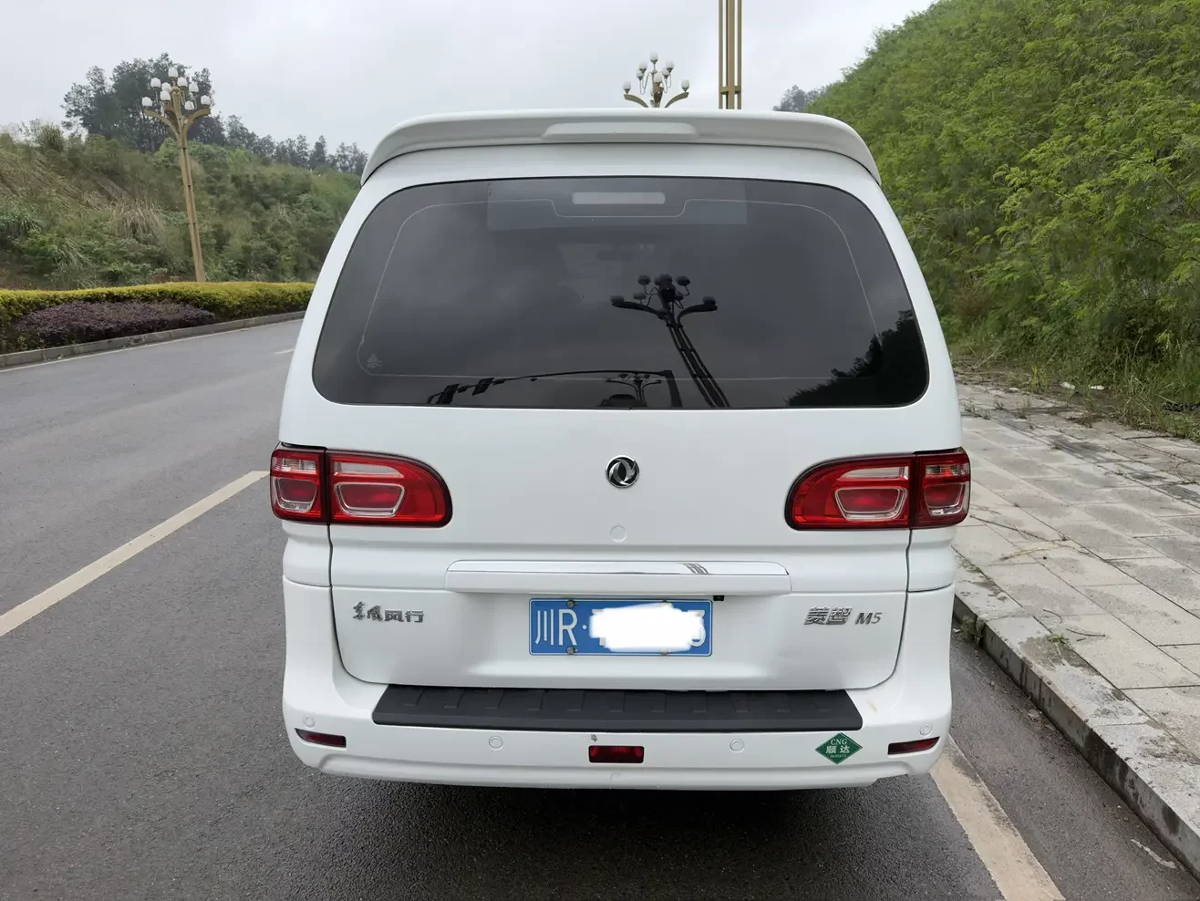 Forthing Lingzhi