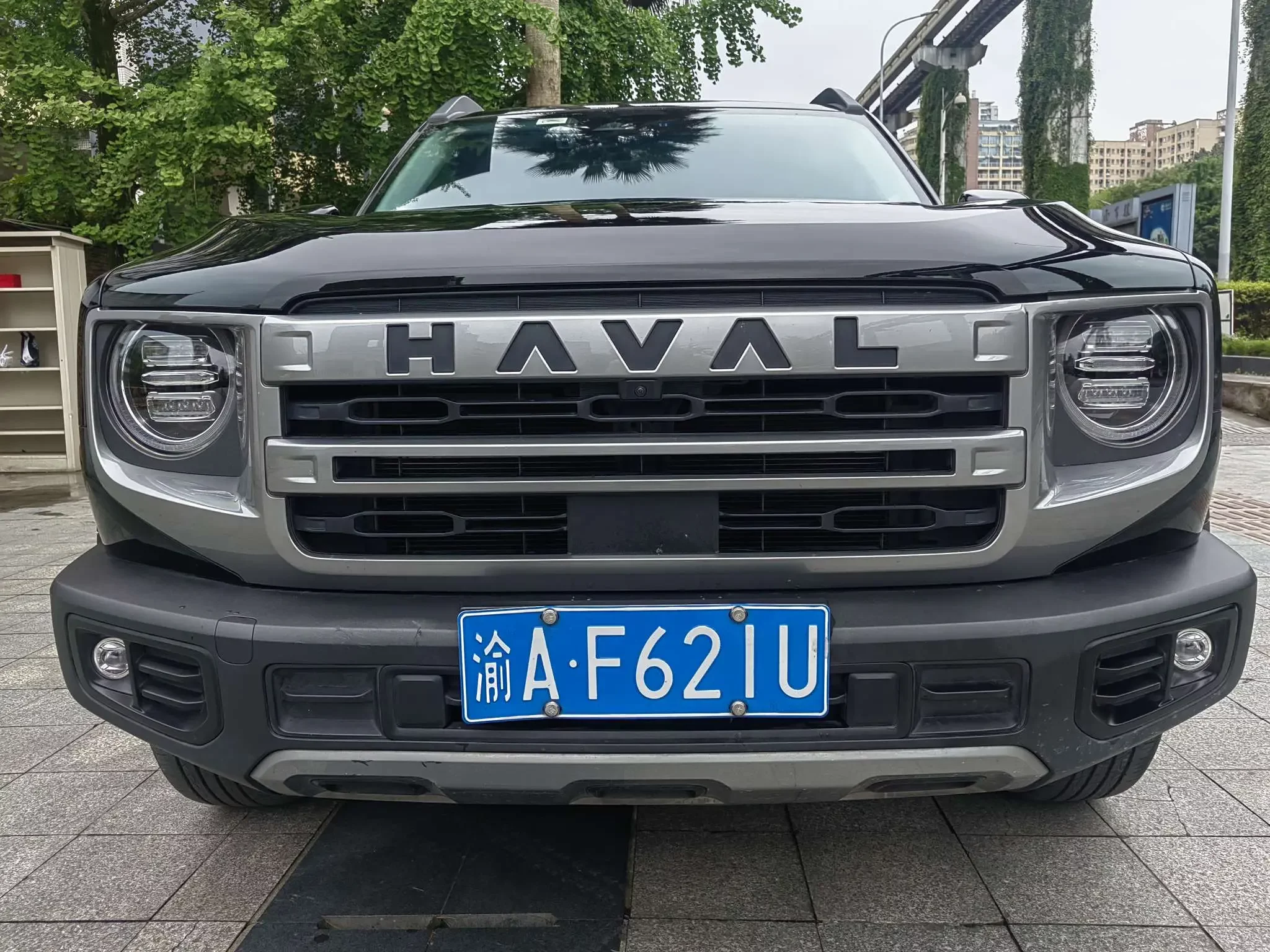 Haval Dargo