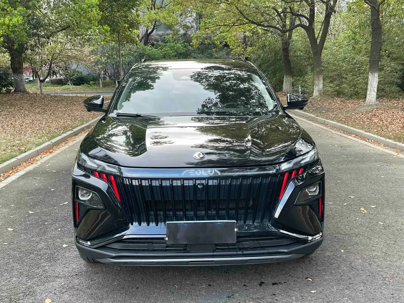 Dongfeng Haoji