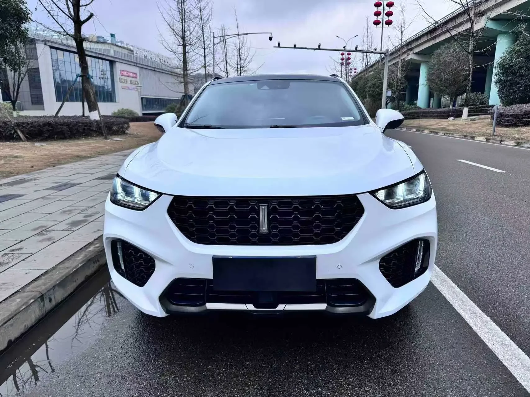 Wey Wei brand VV5