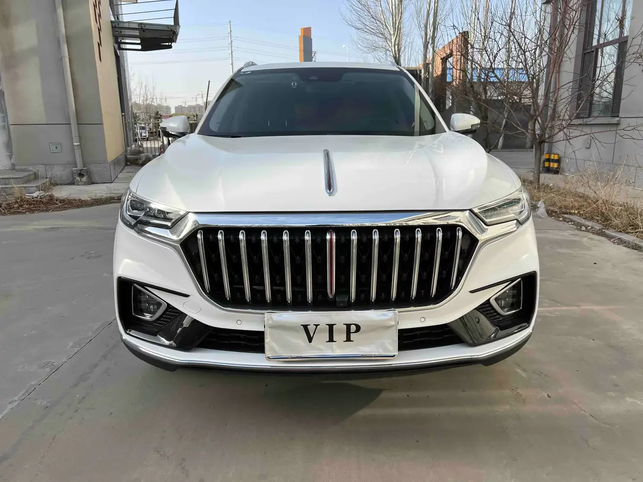 Hongqi HS5