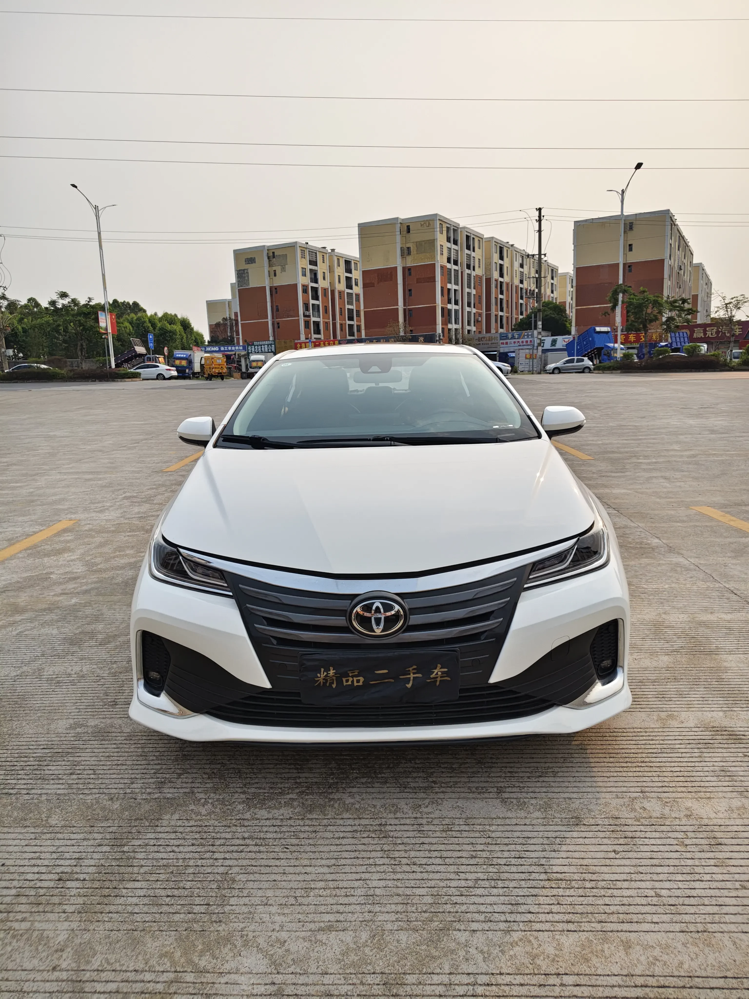 Toyota Asiatic lion