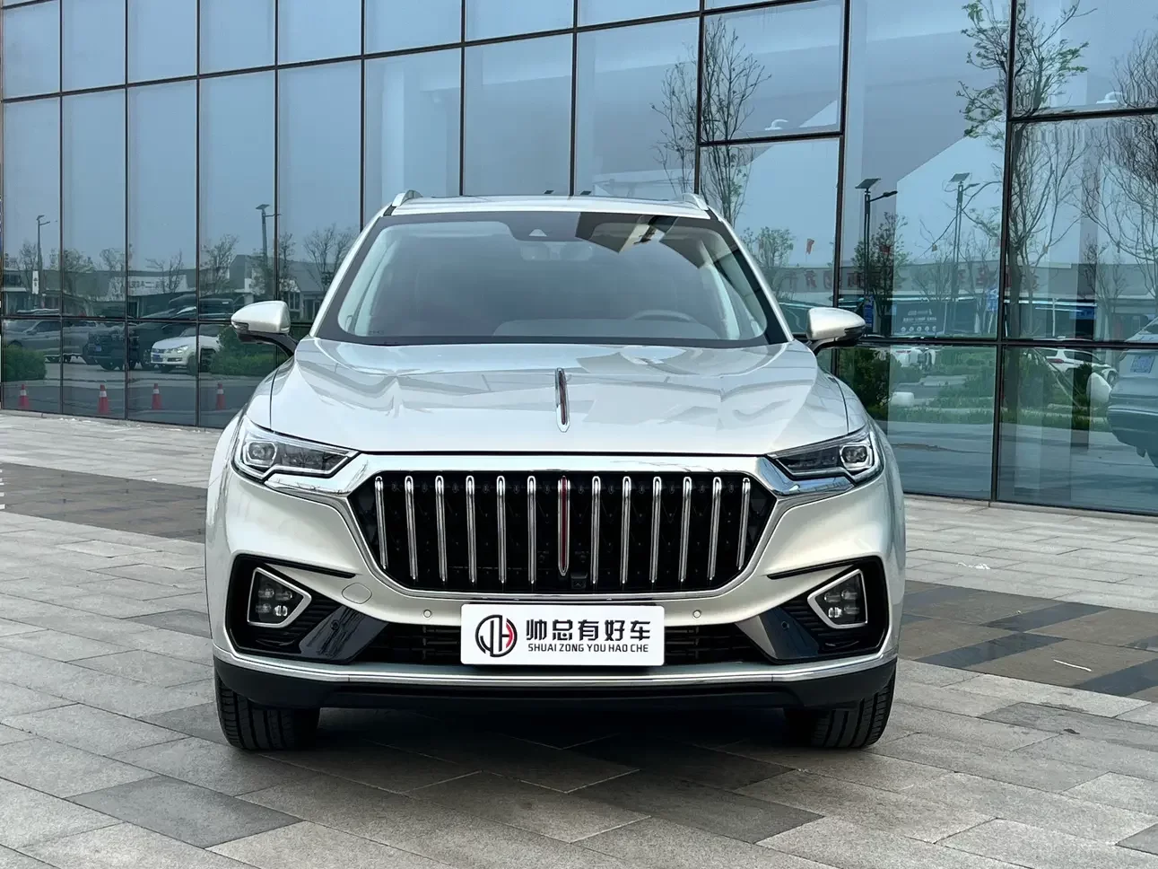 Hongqi HS5
