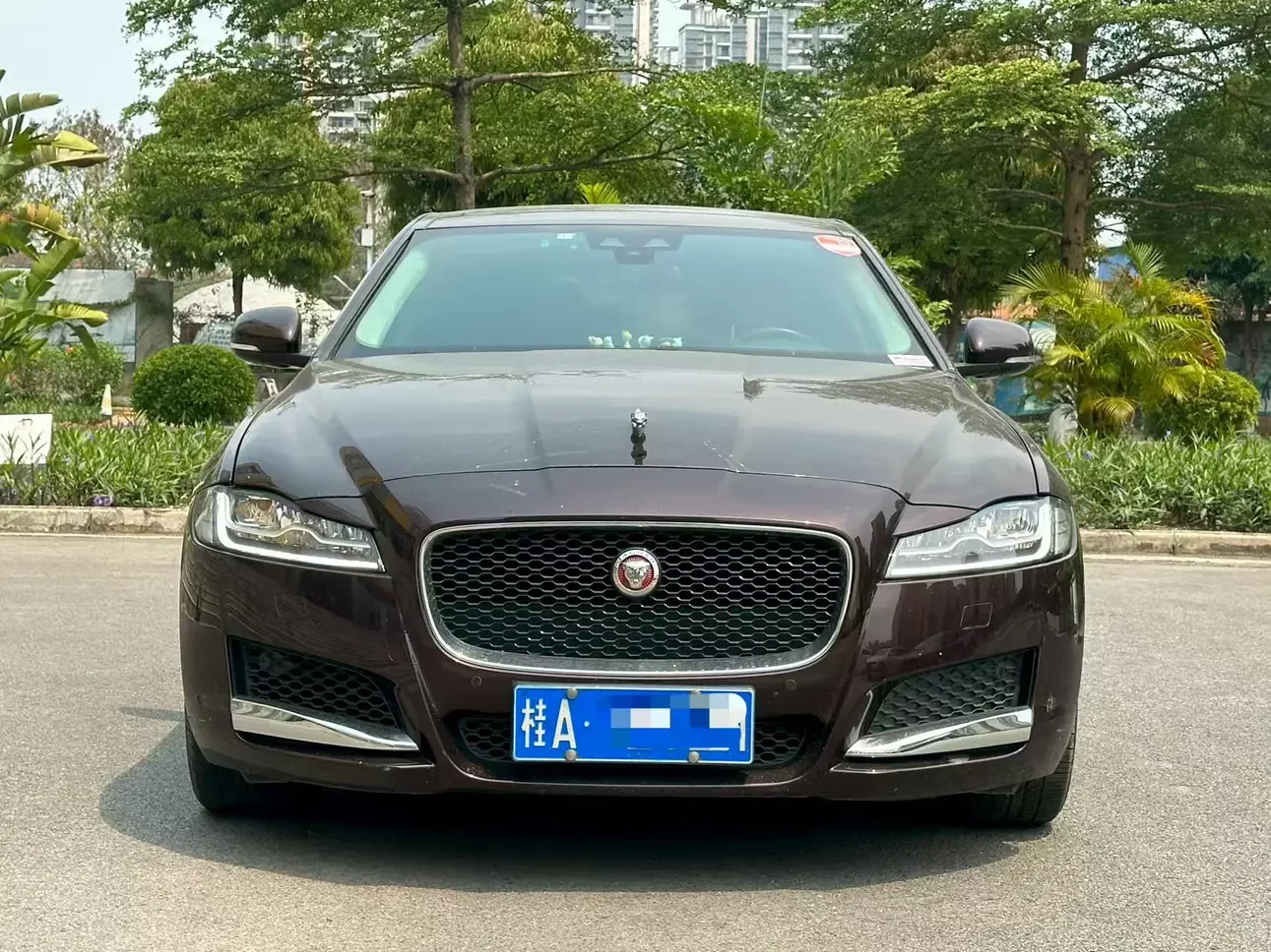 Jaguar XFL  из Китая