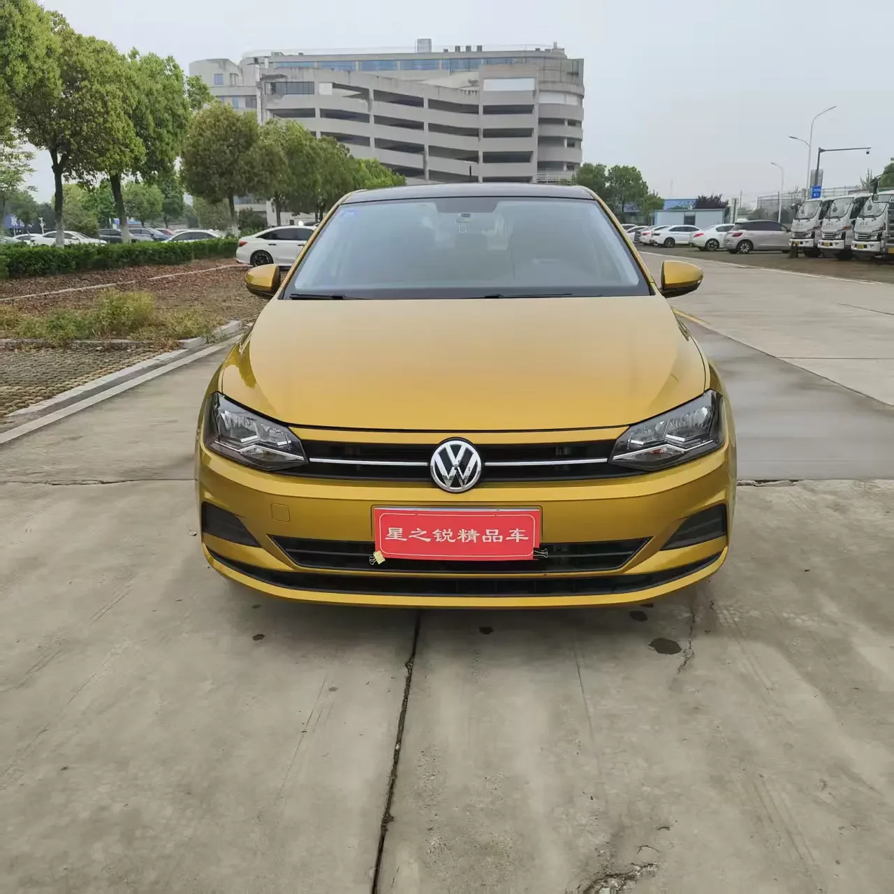Volkswagen Polo