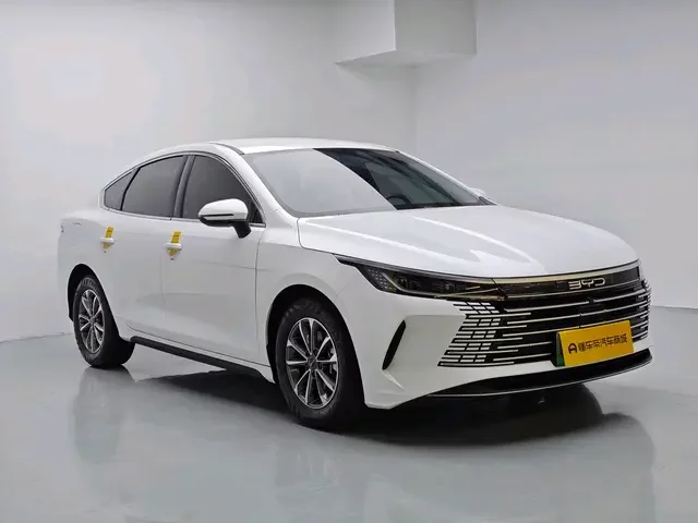 BYD Destroyer 05