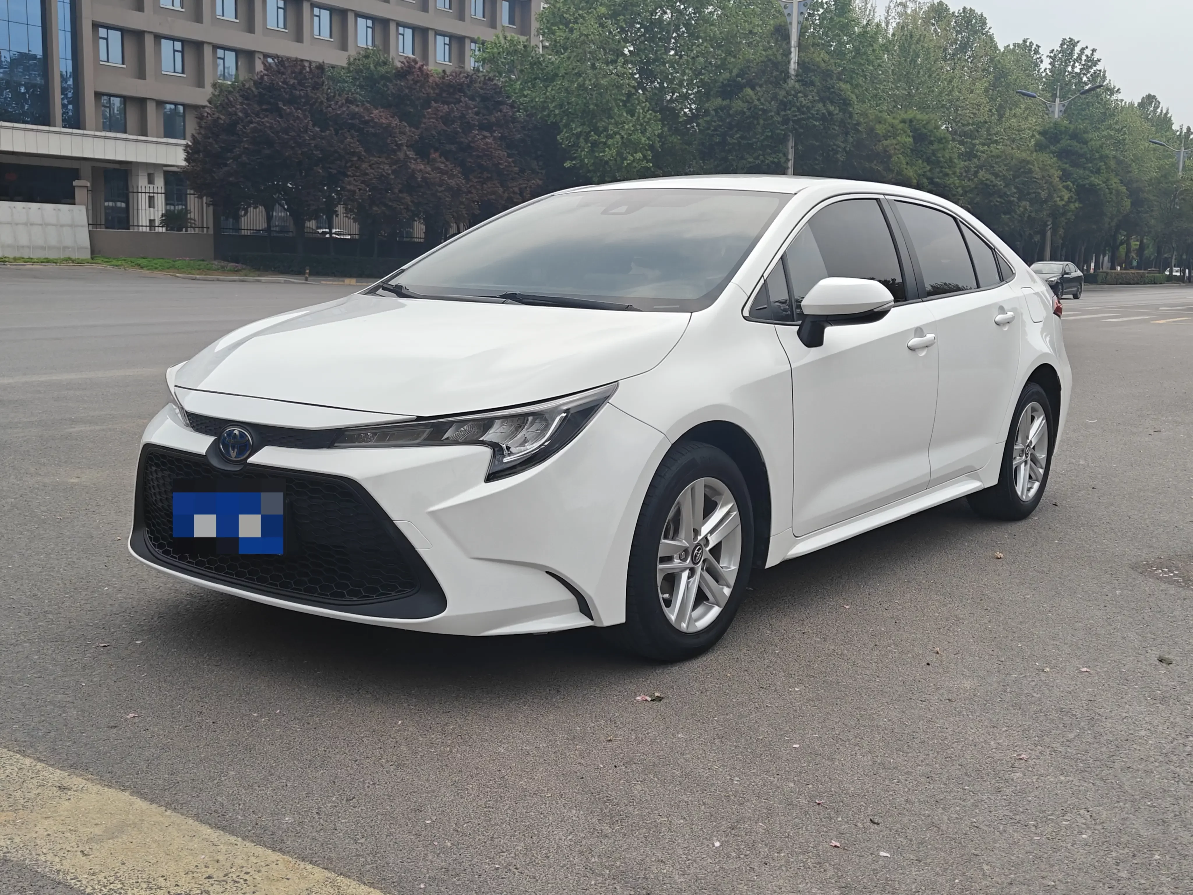 Toyota Levin