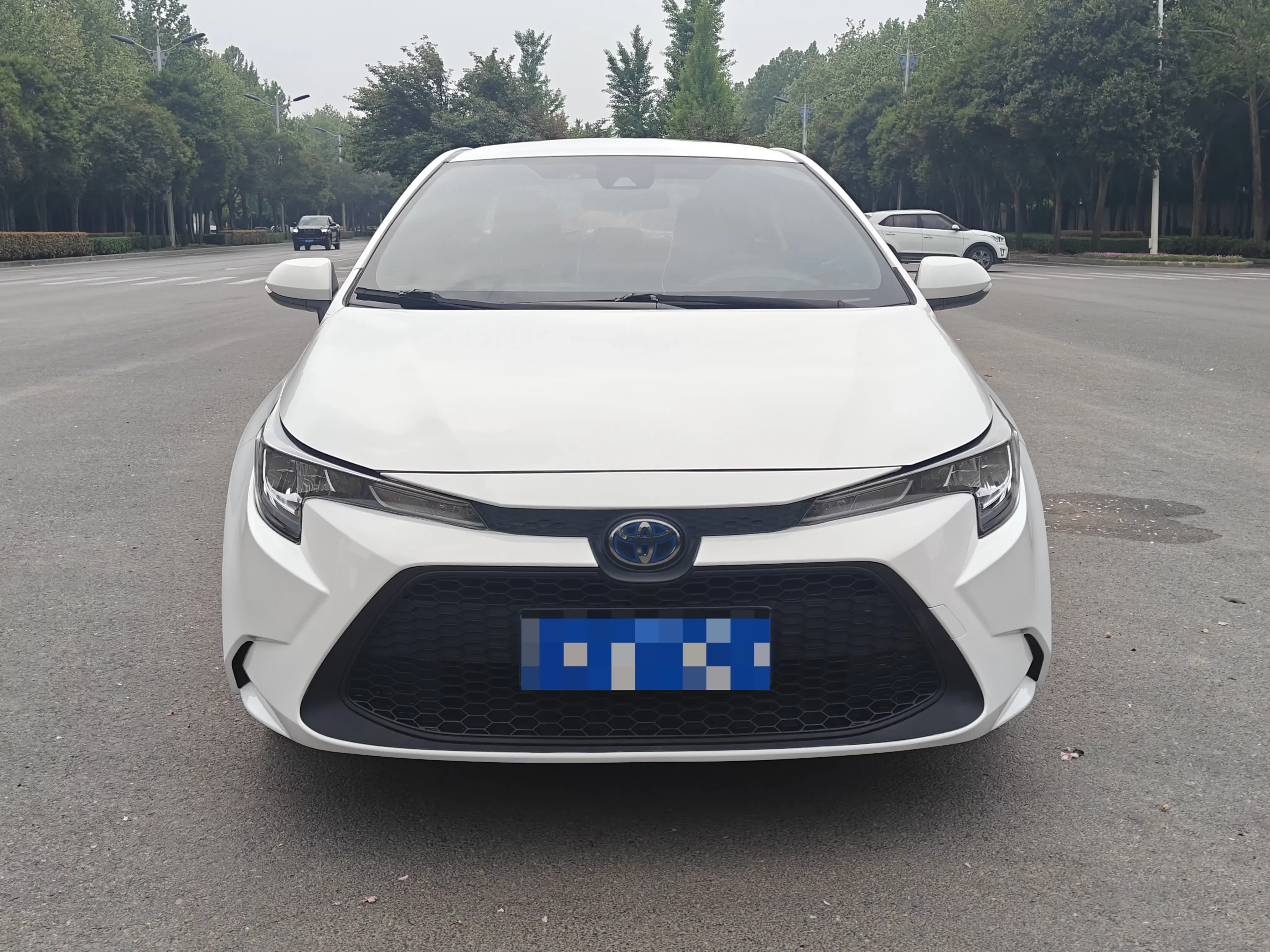 Toyota Levin