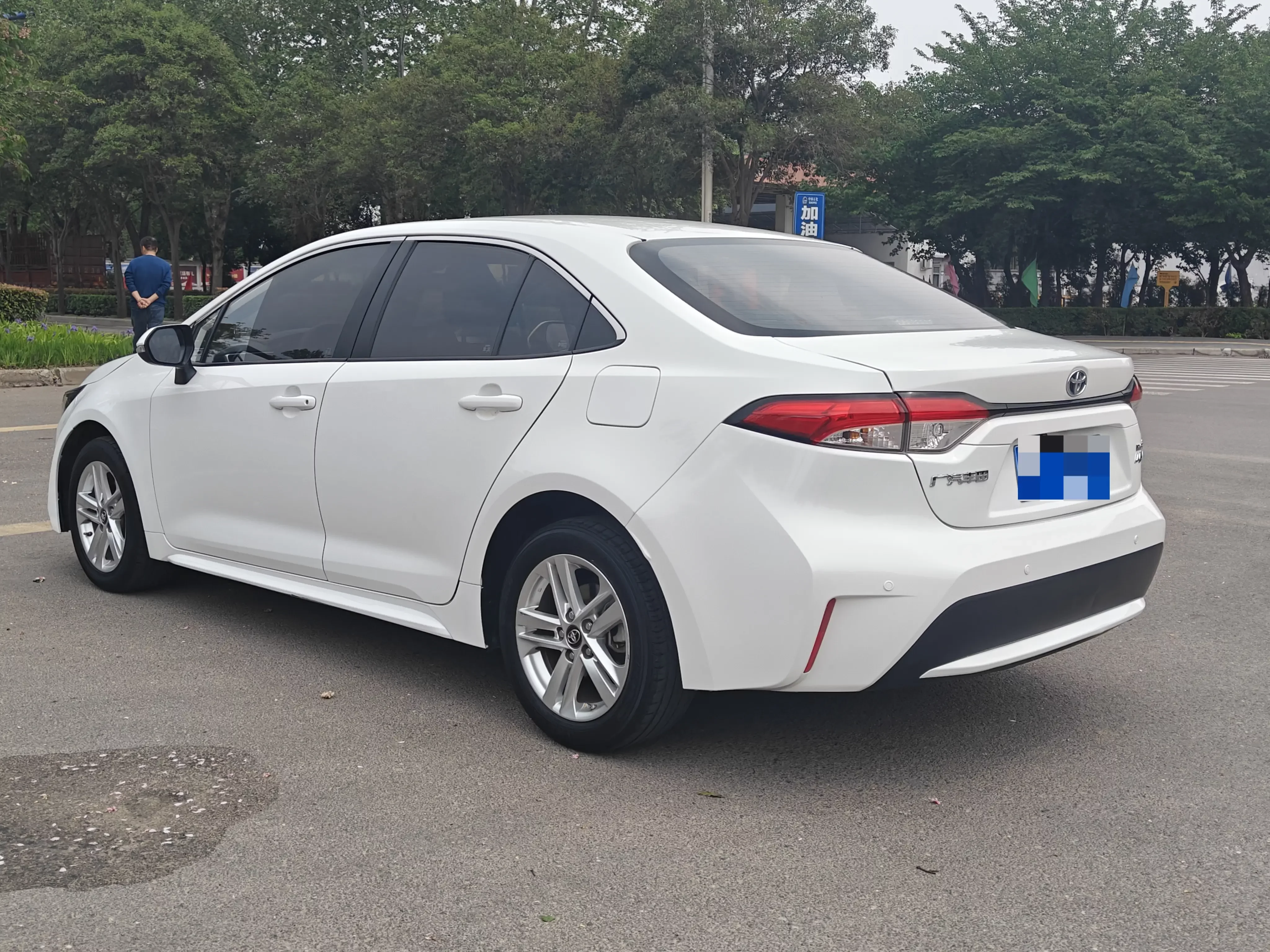 Toyota Levin