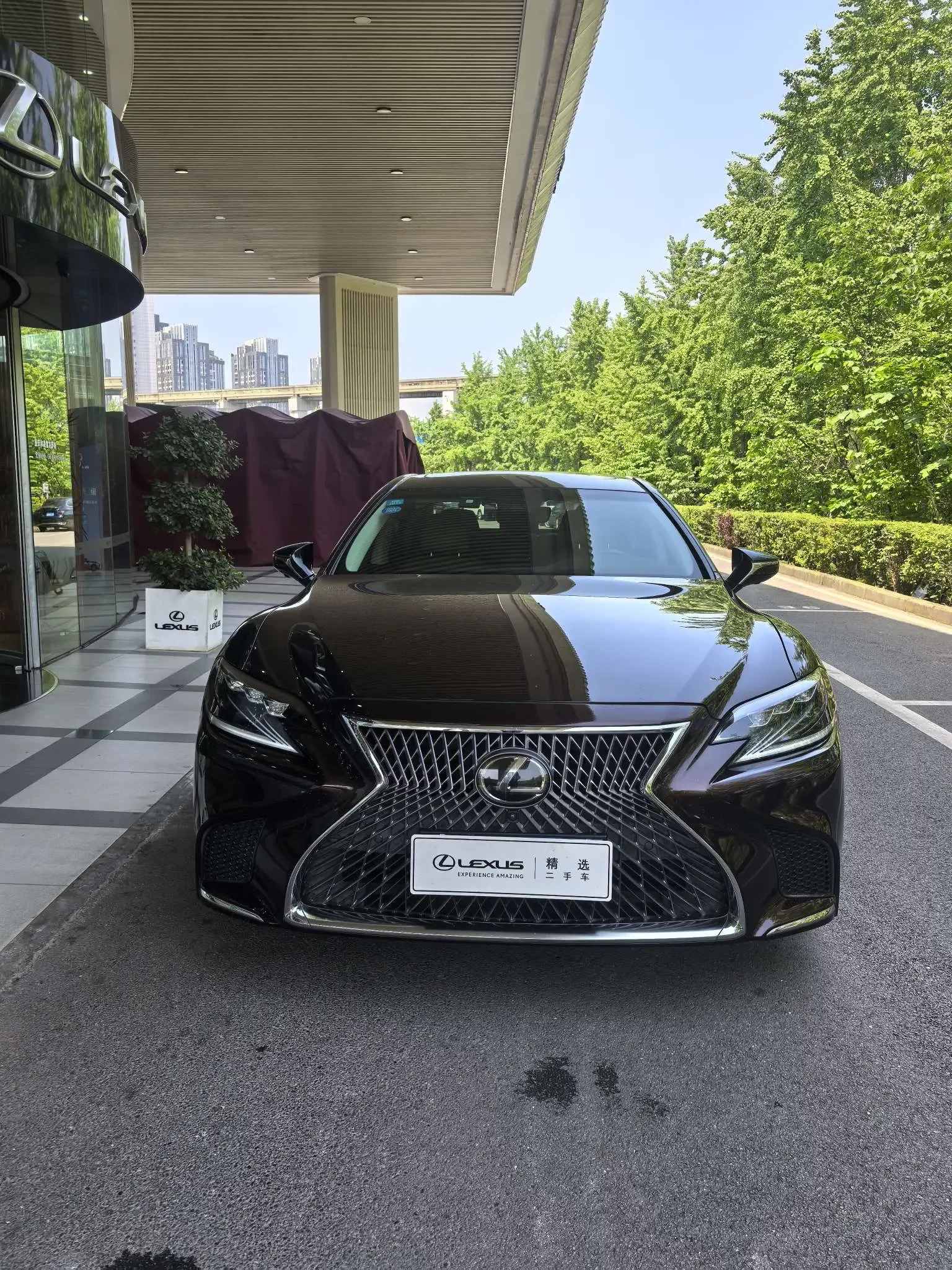 Lexus LS