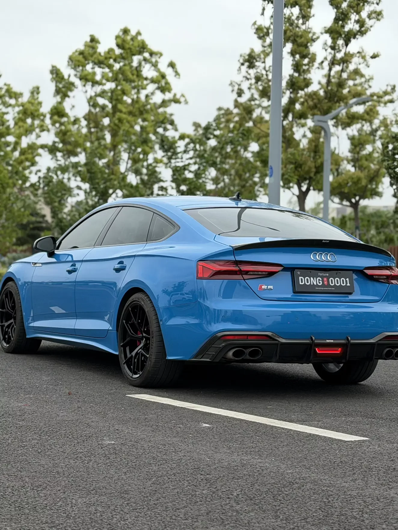Audi S5