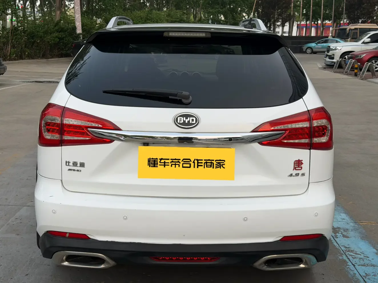 BYD Tang DM
