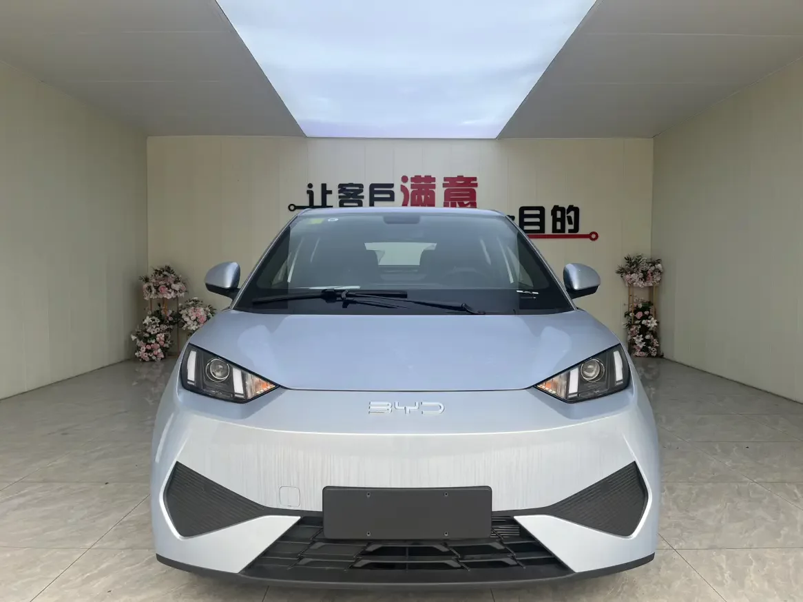 BYD seagull