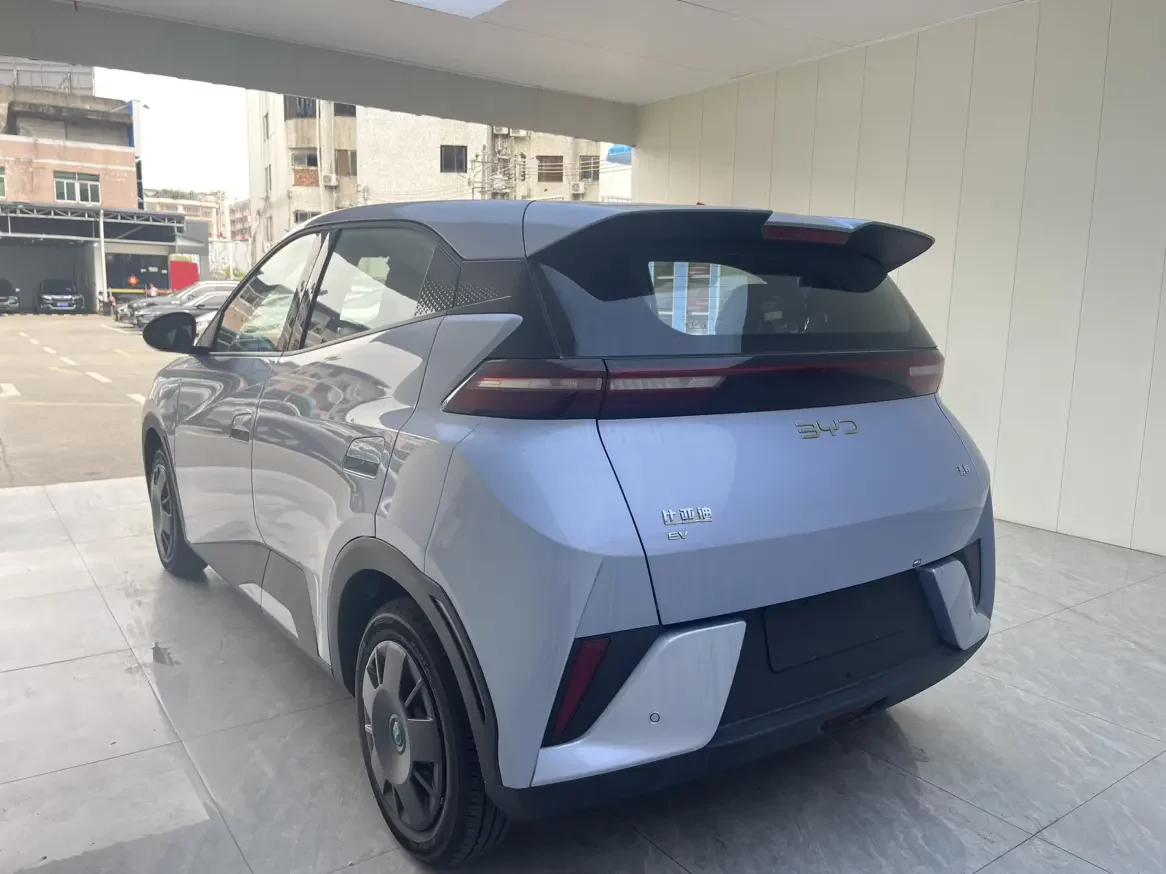 BYD seagull