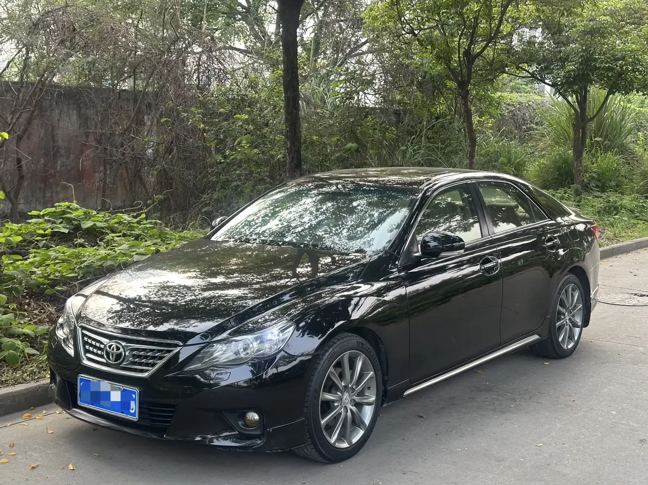 Toyota Ruizhi